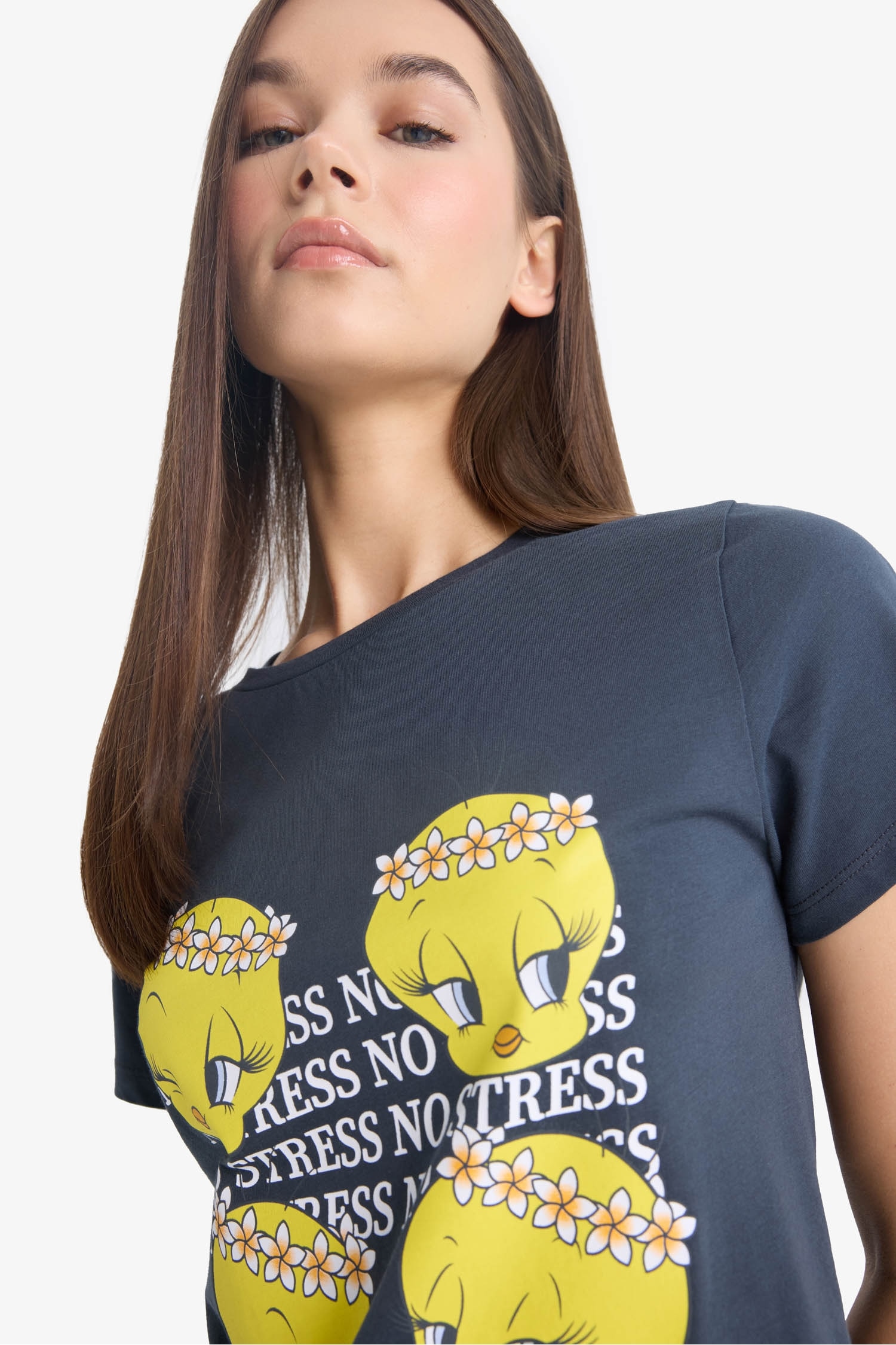 Looney Tunes Regular Fit Bisiklet Yaka Baskılı Kısa Kollu Tişört