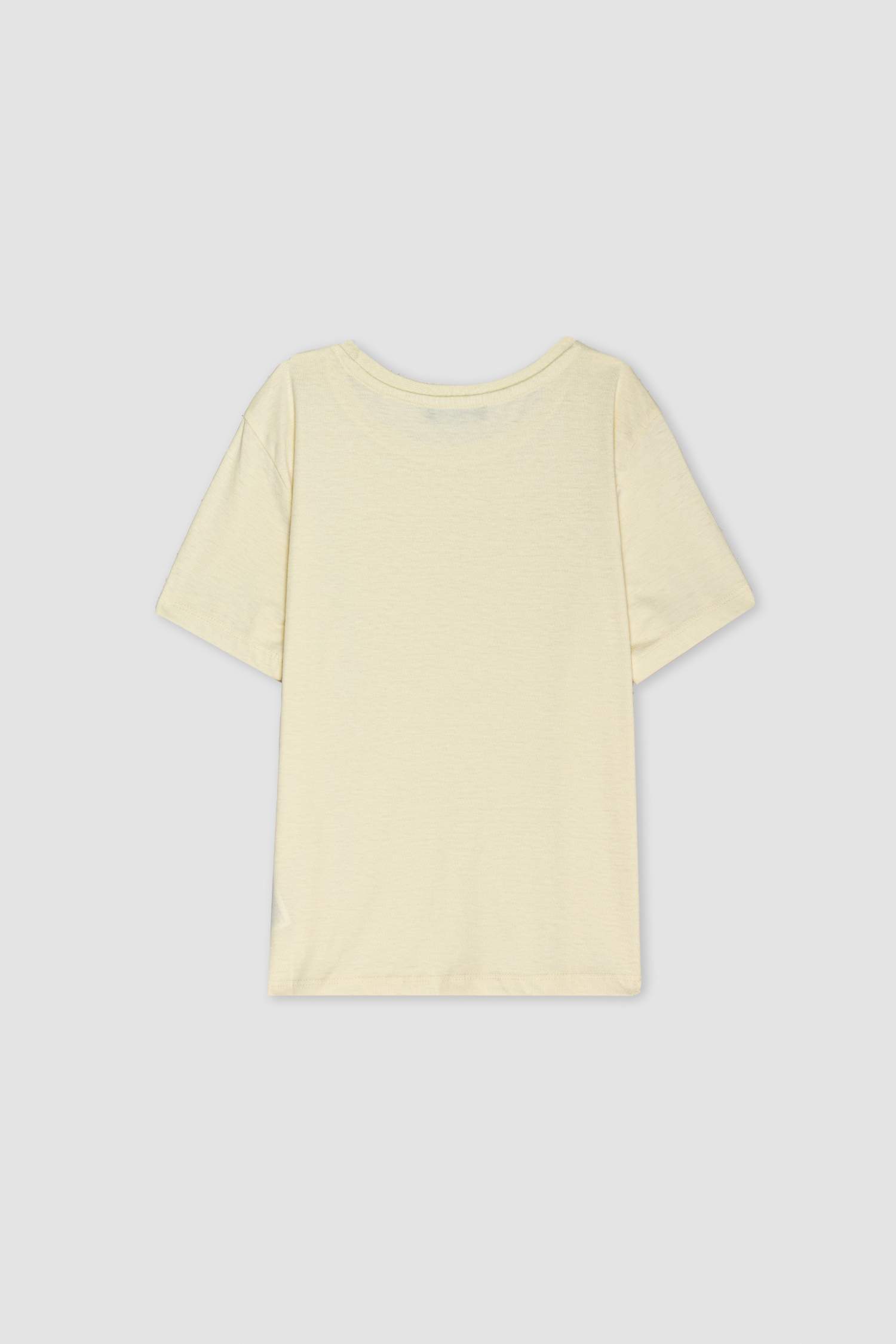 Regular Fit Kısa Kollu Tişört