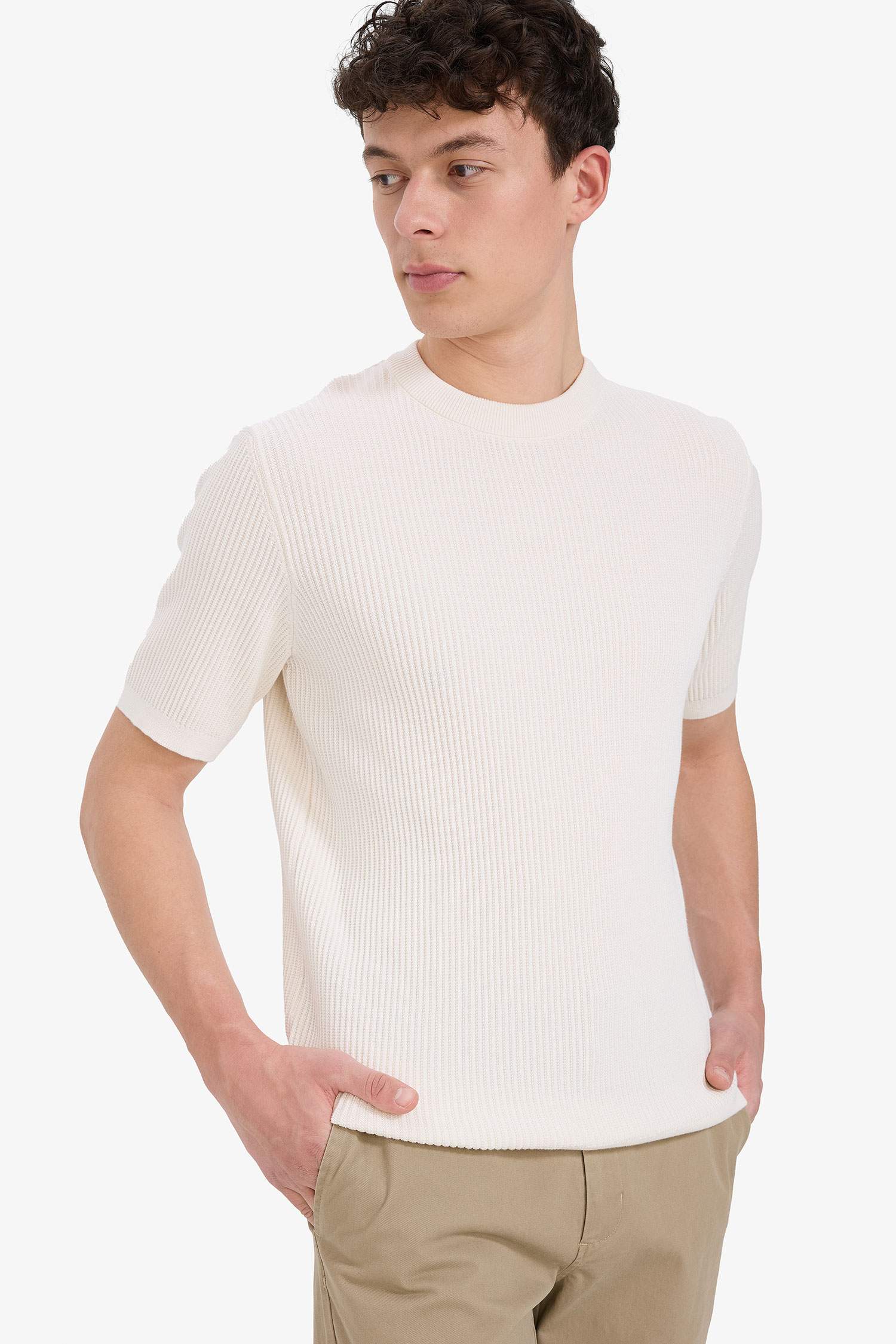 Cotton Standard Fit Crew Neck Knitwear T-Shirt