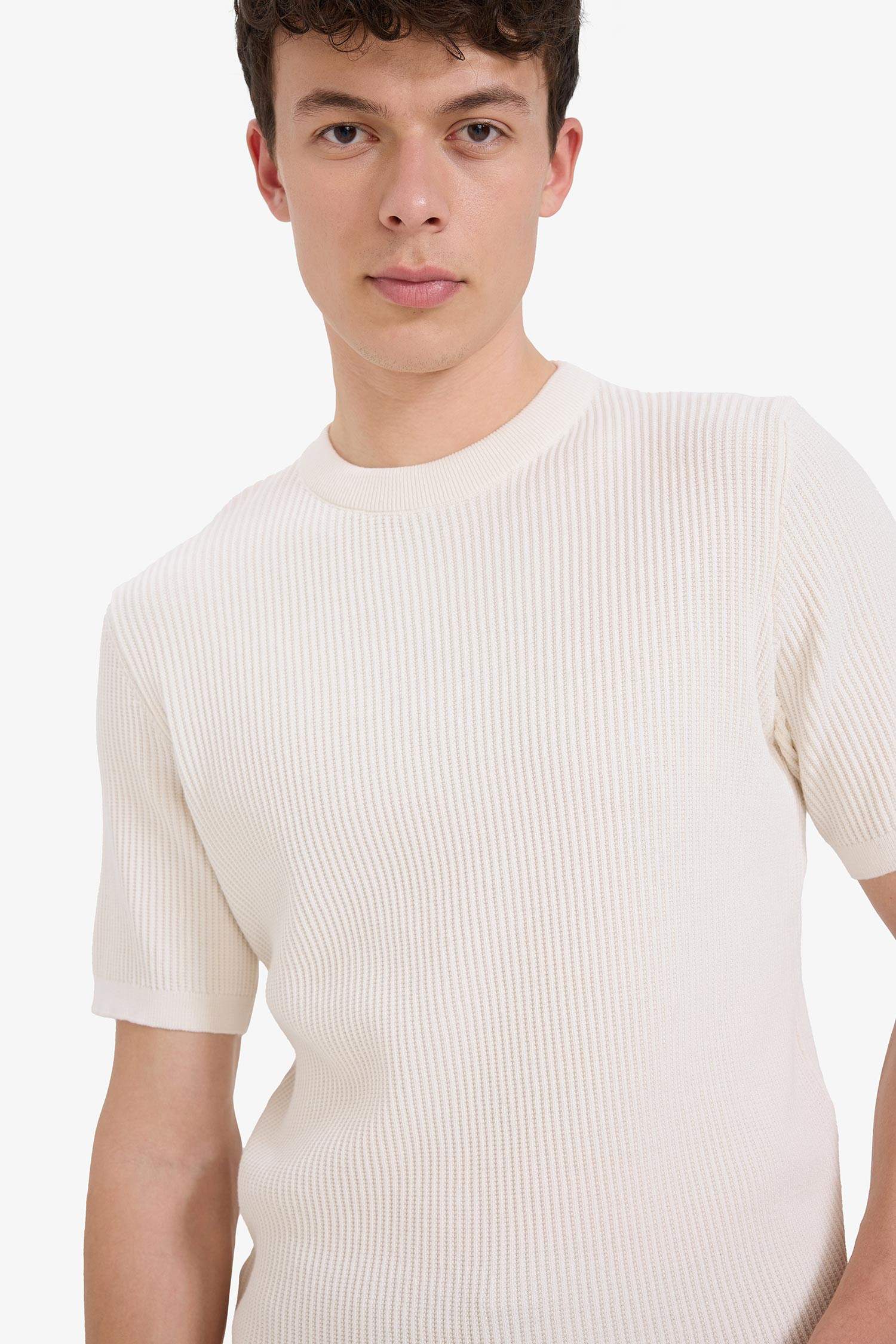 Cotton Standard Fit Crew Neck Knitwear T-Shirt