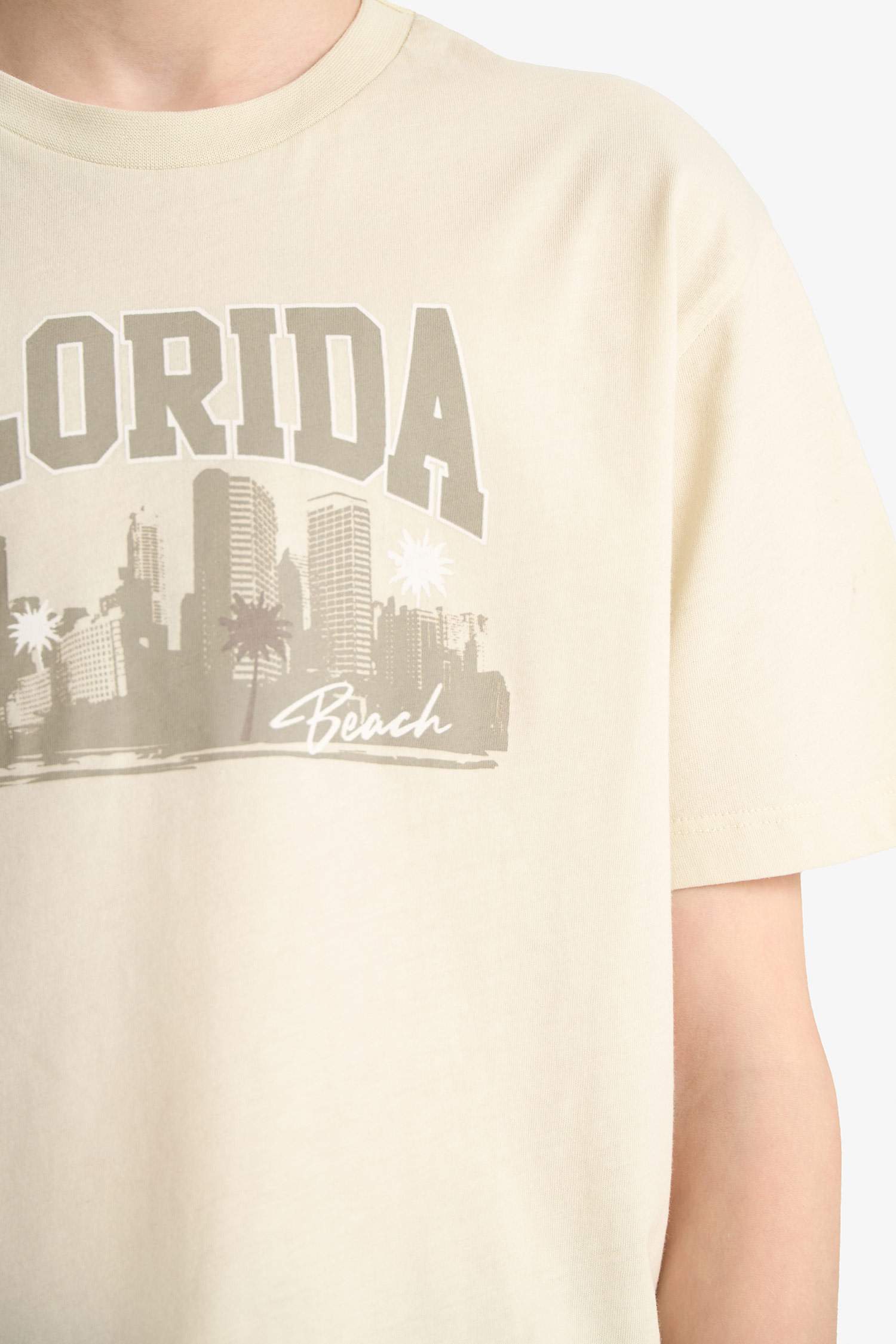 Boy Crew Neck Printed Short Sleeve T-Shirt