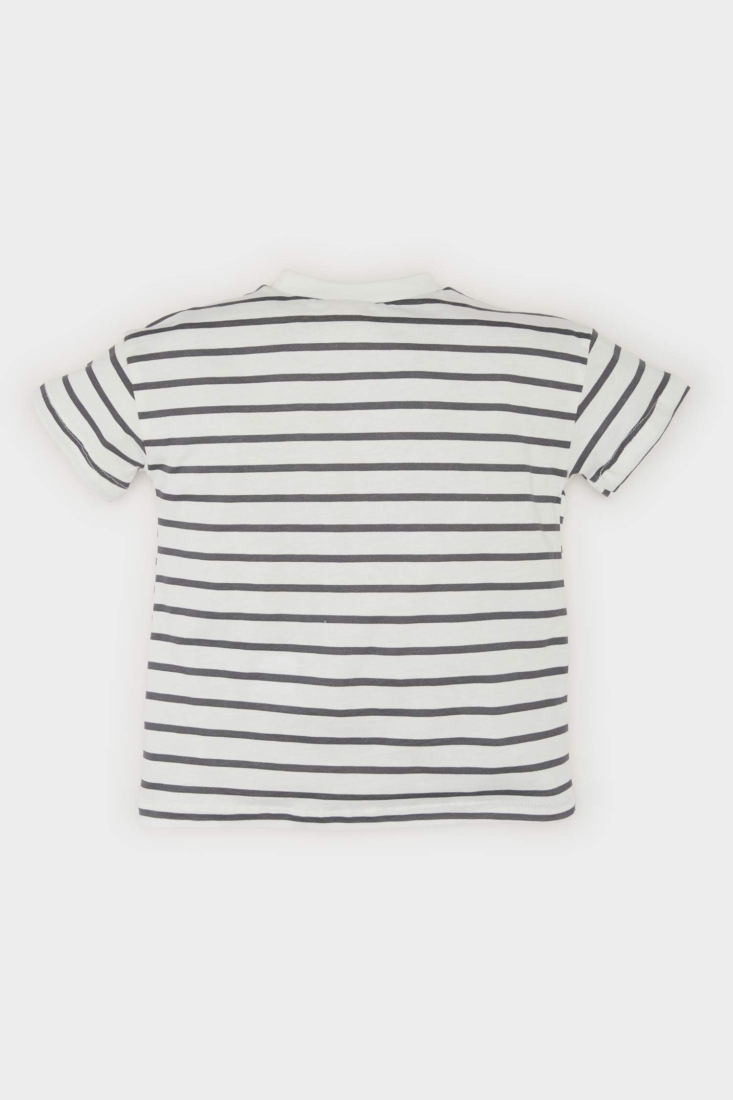 Baby Boy Crew Neck Striped T-Shirt