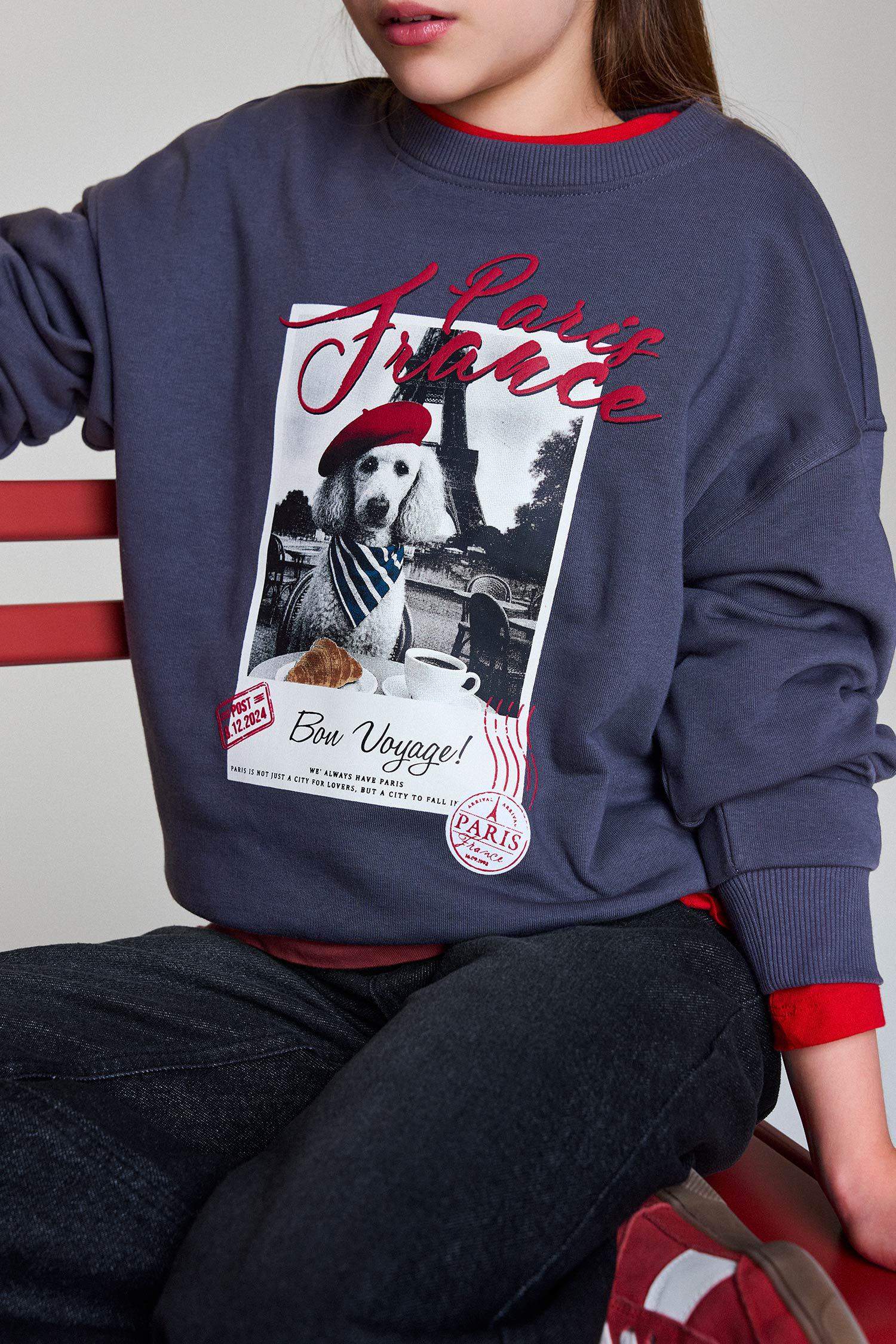 Қыздарға арналған Relax Fit дөңгелек жағалы суретті свитшот