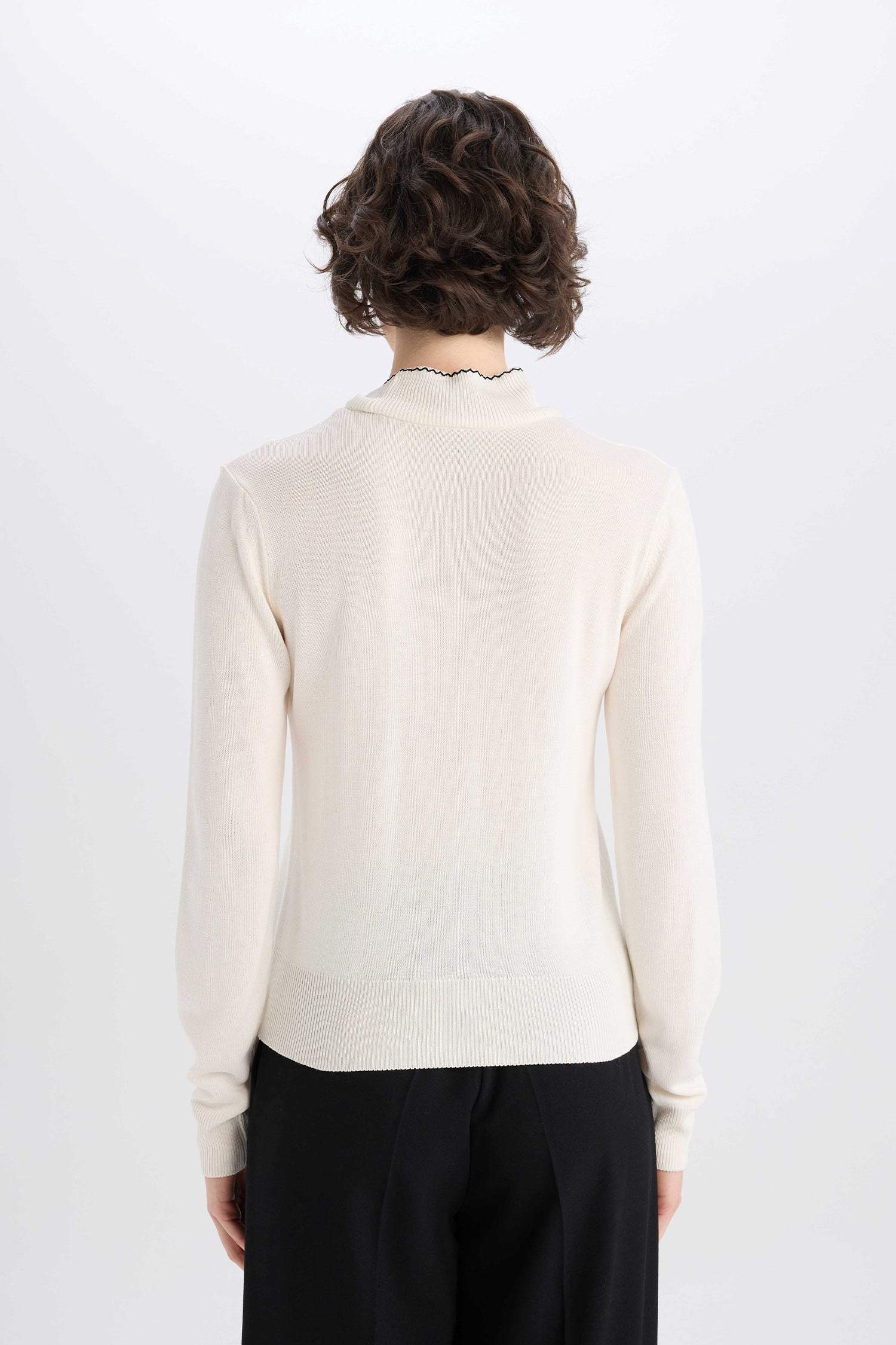 Regular Fit Half Turtleneck Pullover