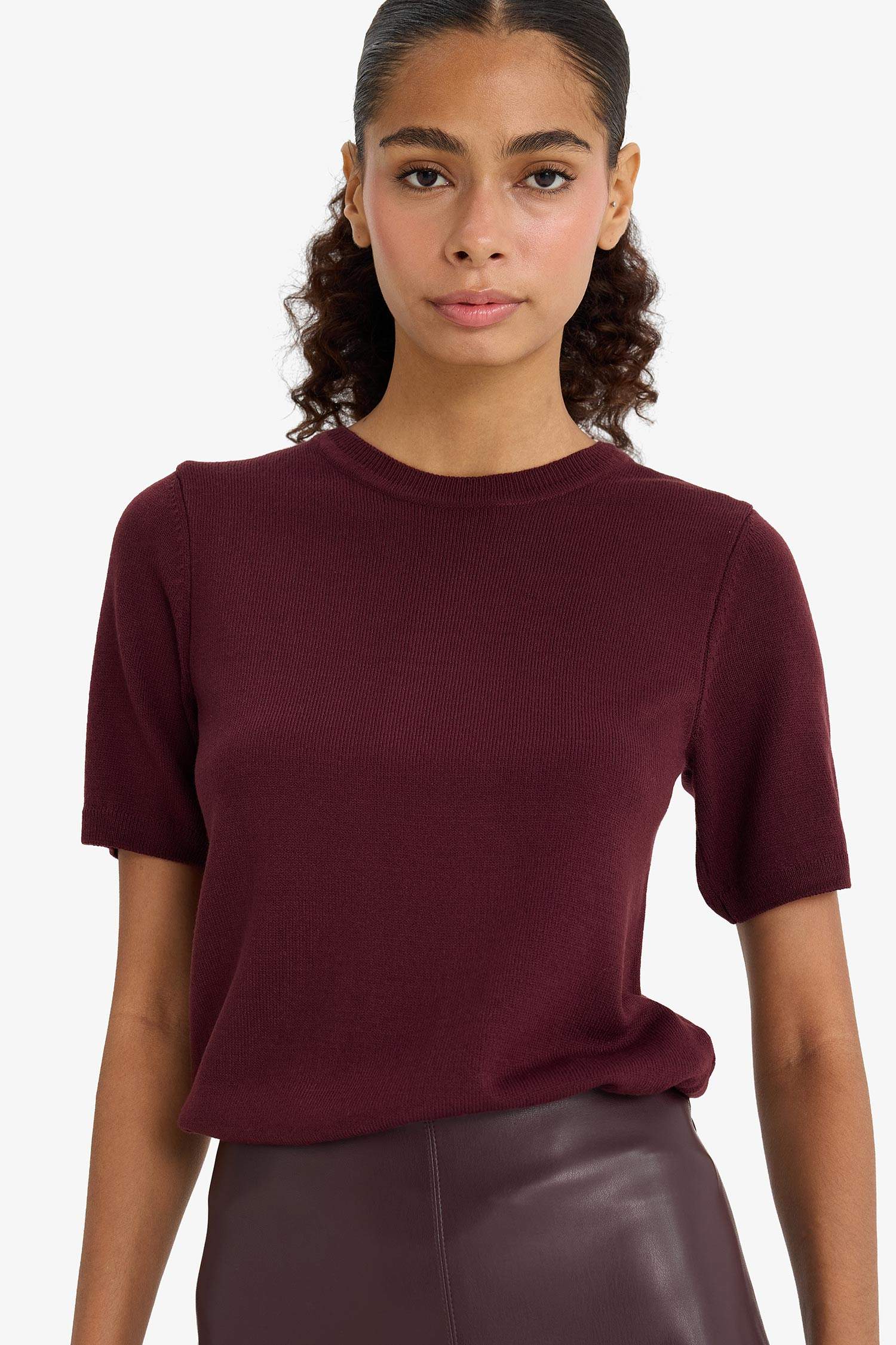 Regular Fit Crew Neck Short Sleeve Knit Pullover