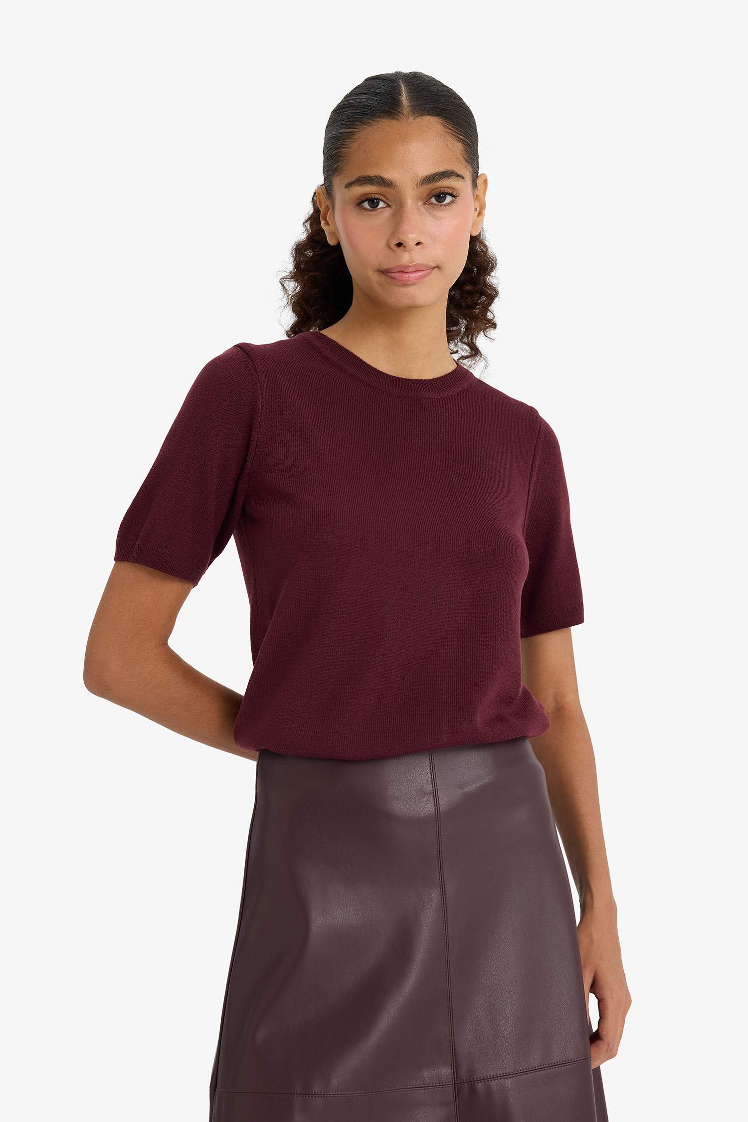 Regular Fit Crew Neck Short Sleeve Knit Pullover