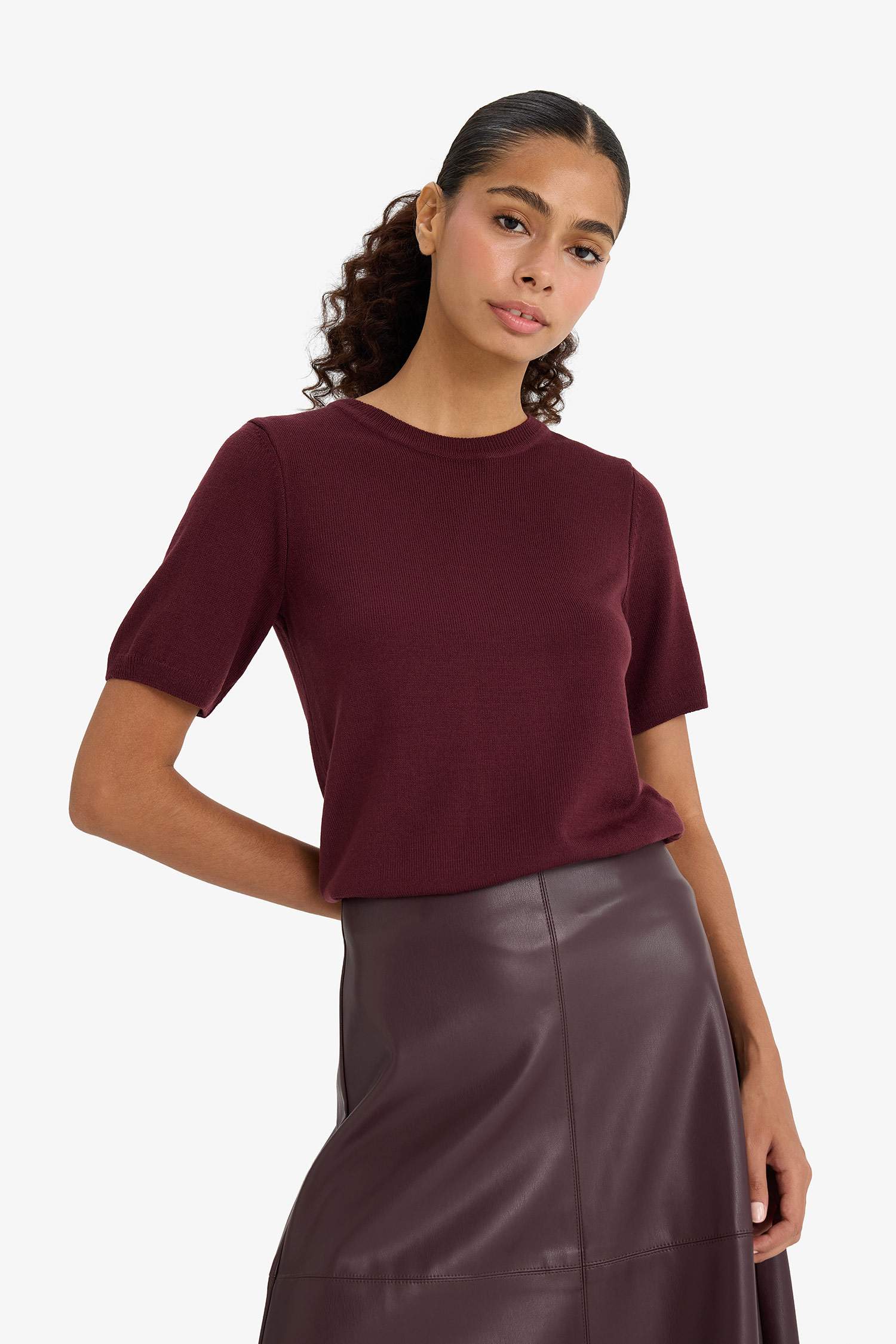 Regular Fit Crew Neck Short Sleeve Knit Pullover