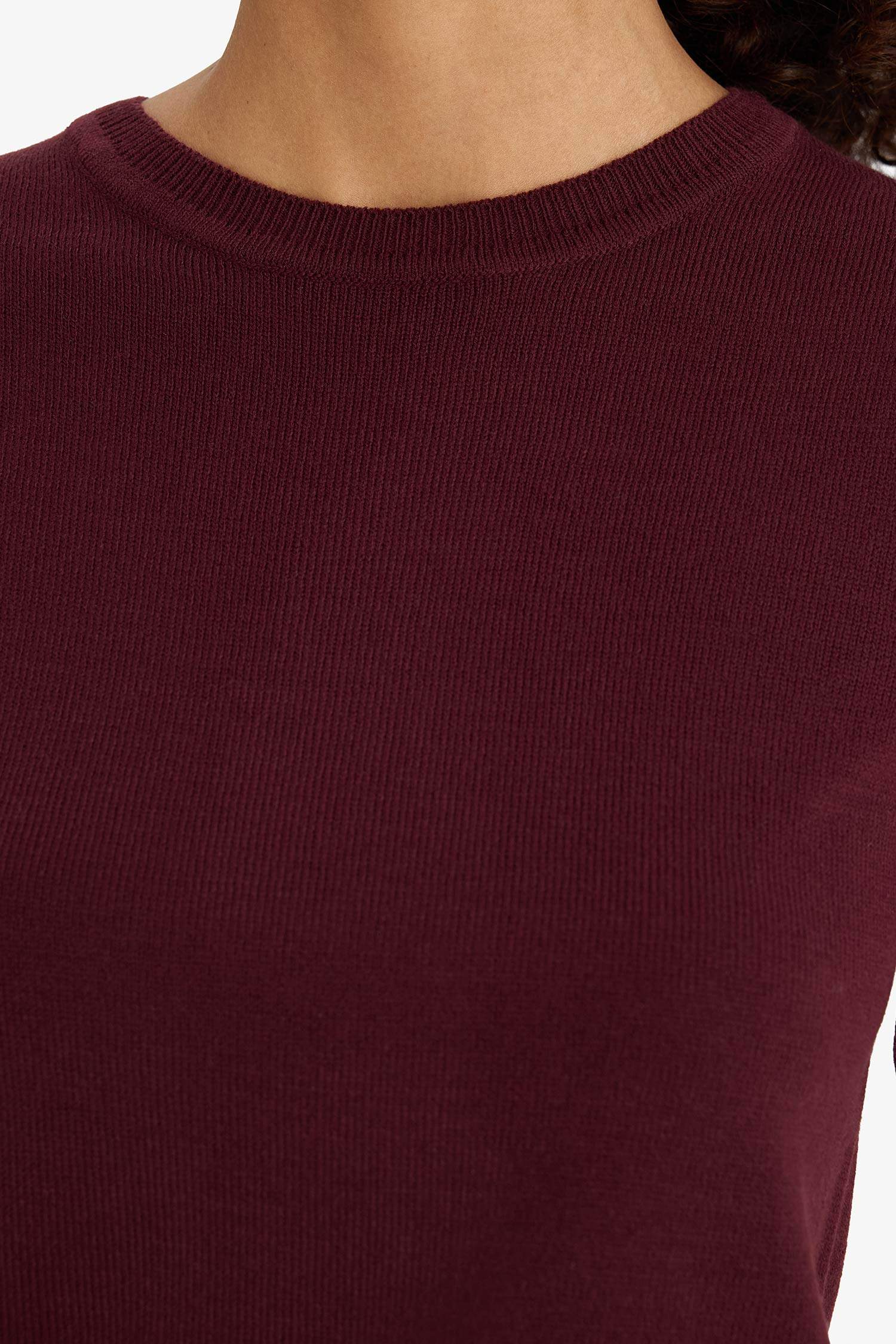 Regular Fit Crew Neck Short Sleeve Knit Pullover