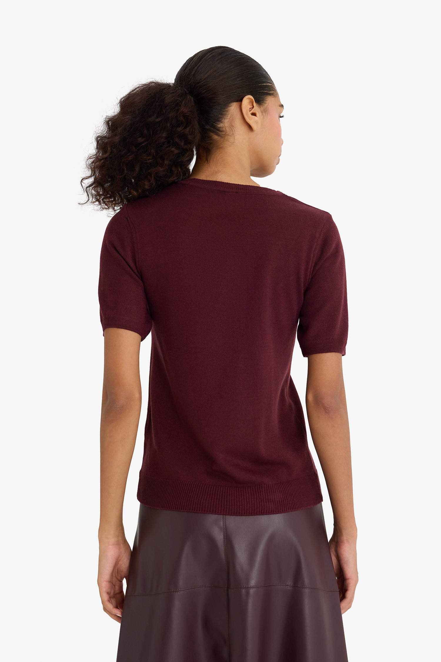 Regular Fit Crew Neck Short Sleeve Knit Pullover