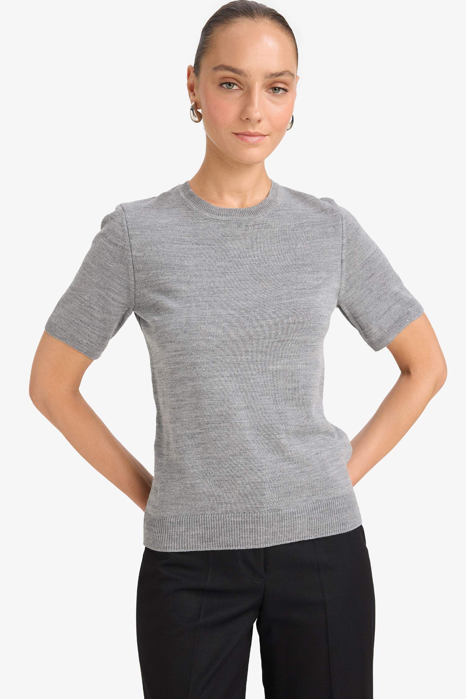 Regular Fit Bisiklet Yaka Kısa Kollu Triko Kazak