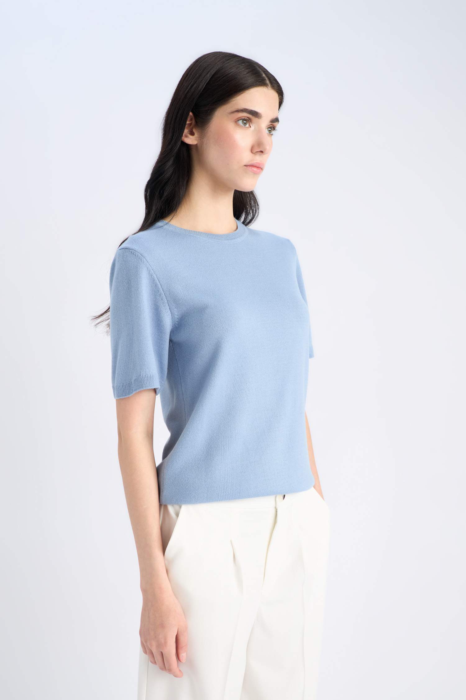 Regular Fit Basic Short Sleeve Knitwear Pullover