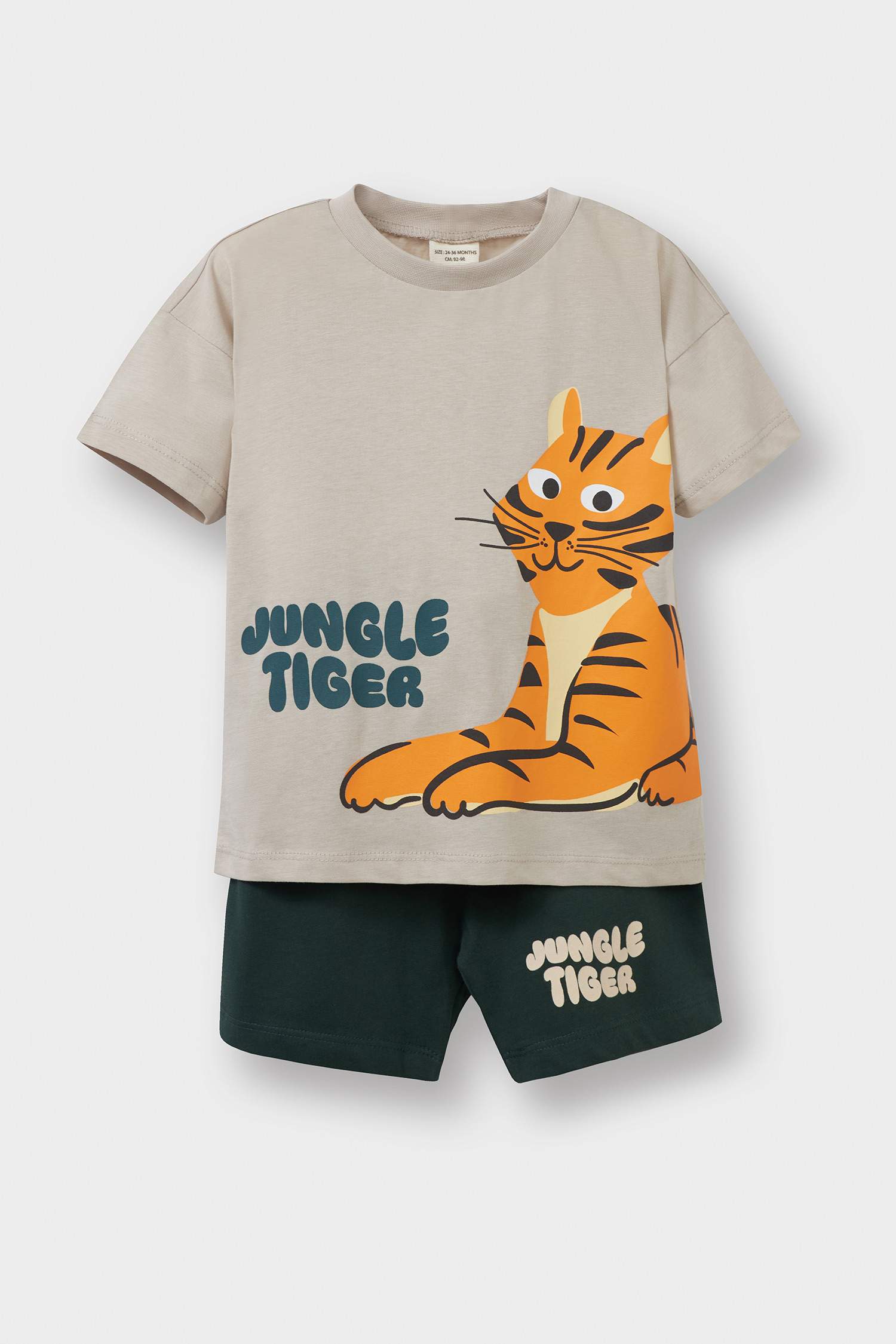 Baby Boy Animal Printed 2 Piece Set