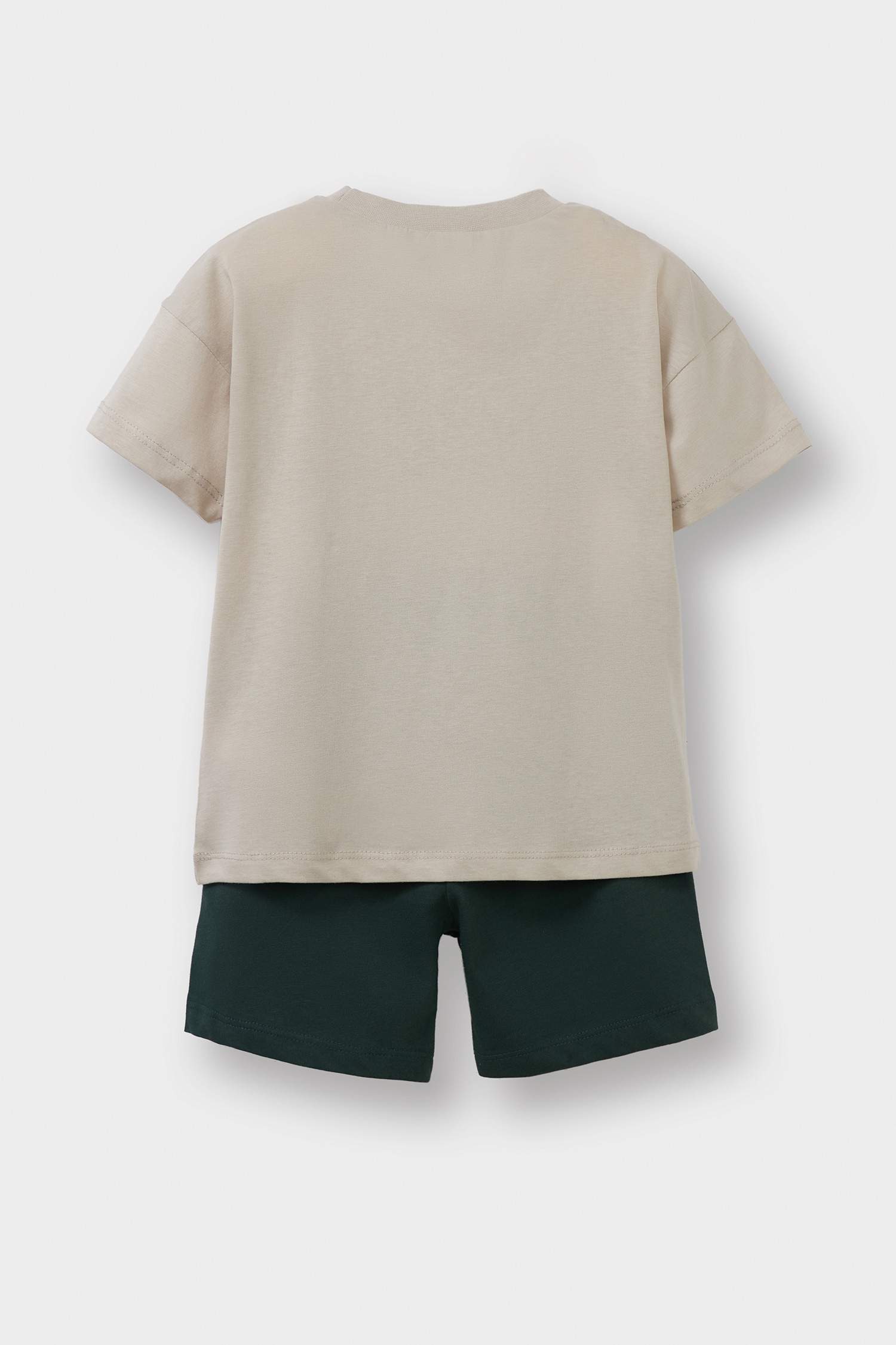 Baby Boy Animal Printed 2 Piece Set