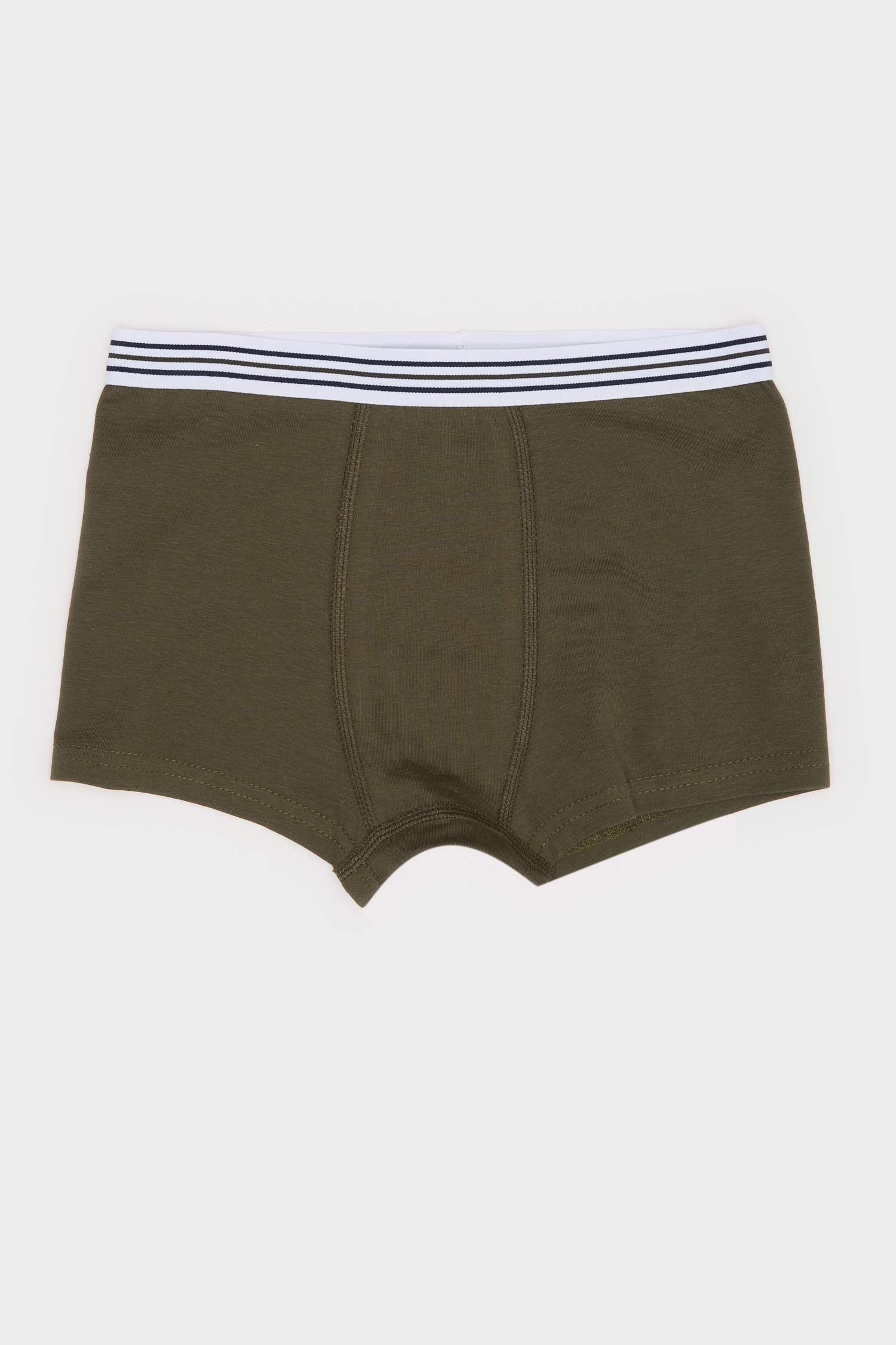 Erkek Çocuk Kaktüs Desenli 3'lü Boxer