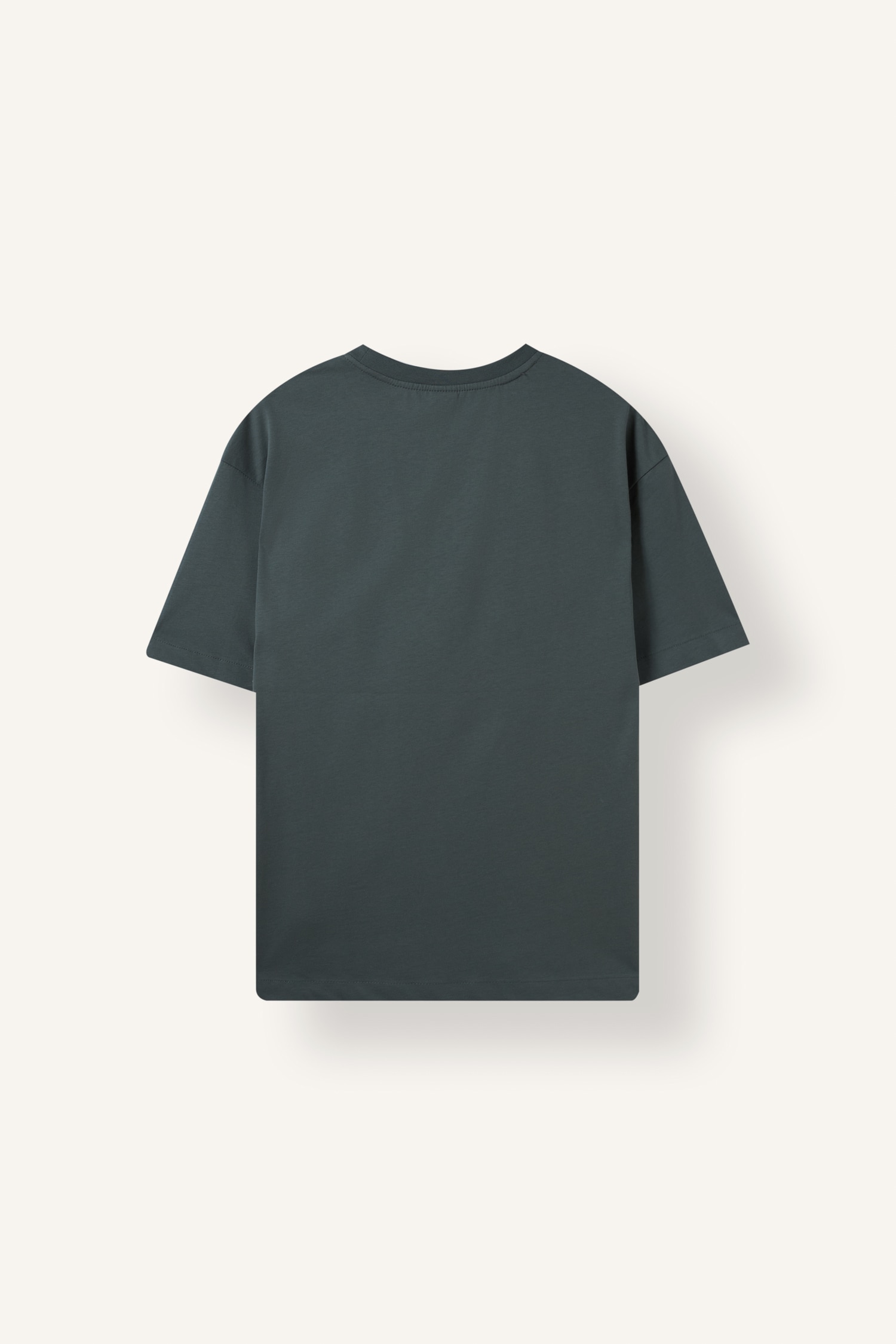 DeFacto %100 Pamuk Oversize Basic Kısa Kollu Tişört görsel 6