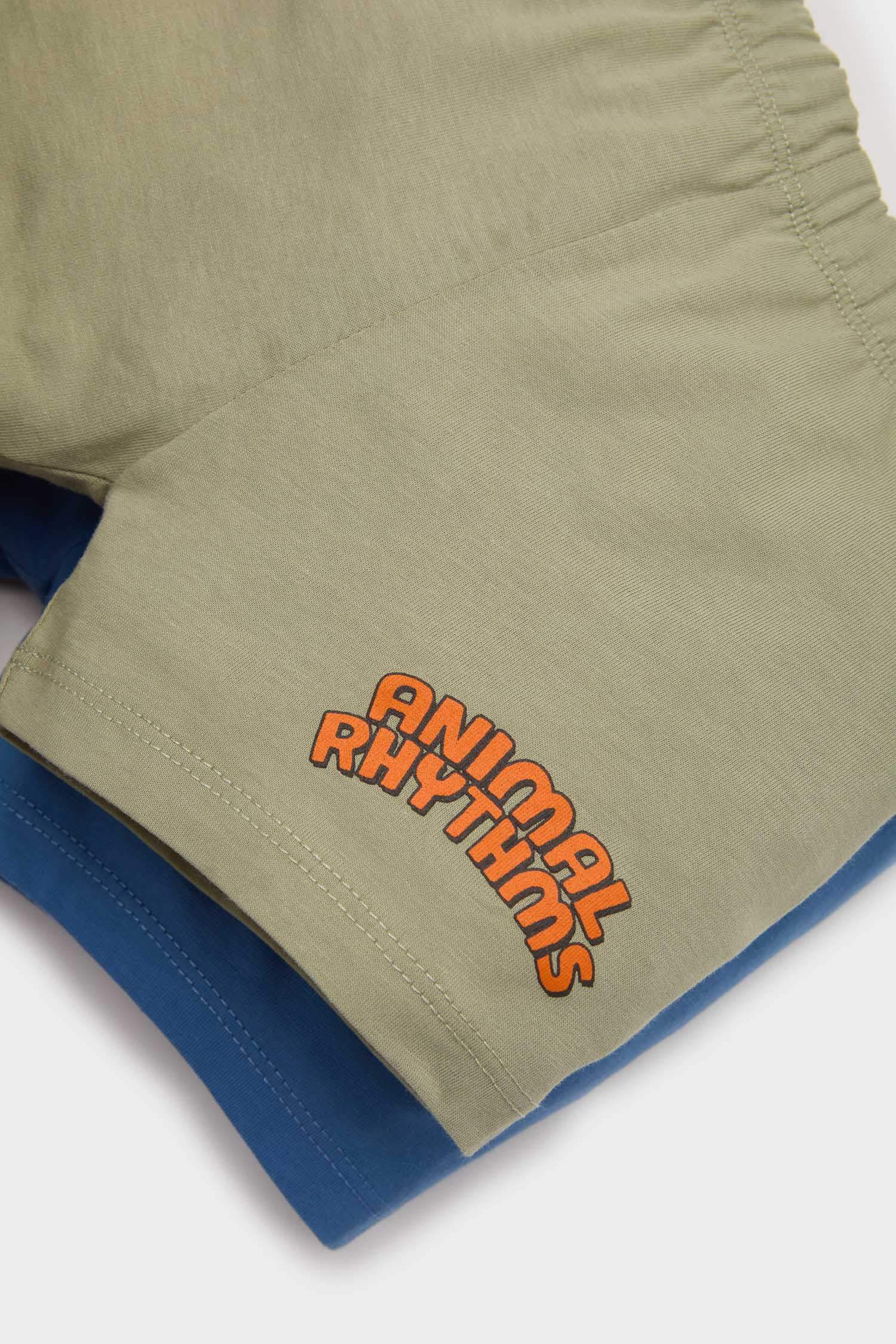 Baby Boy Regular Fit Shorts T-Shirt 2 Piece Set