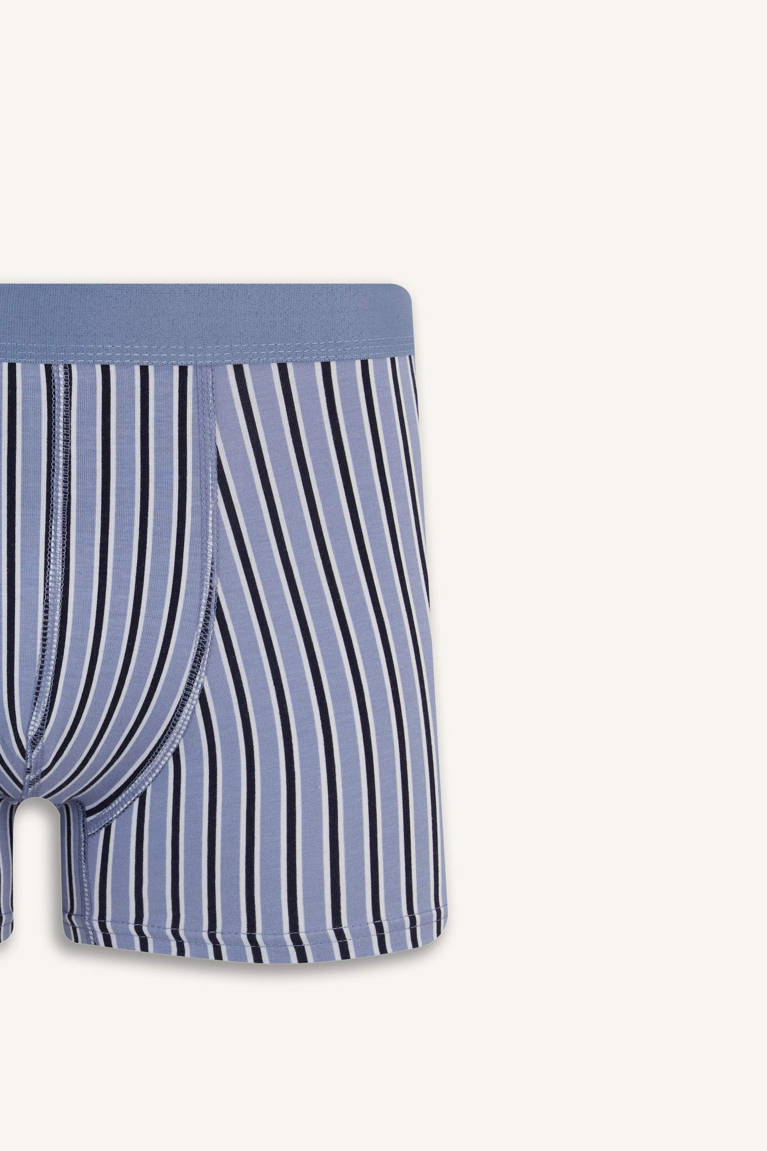 Regular Fit Çizgili 3'lü Boxer