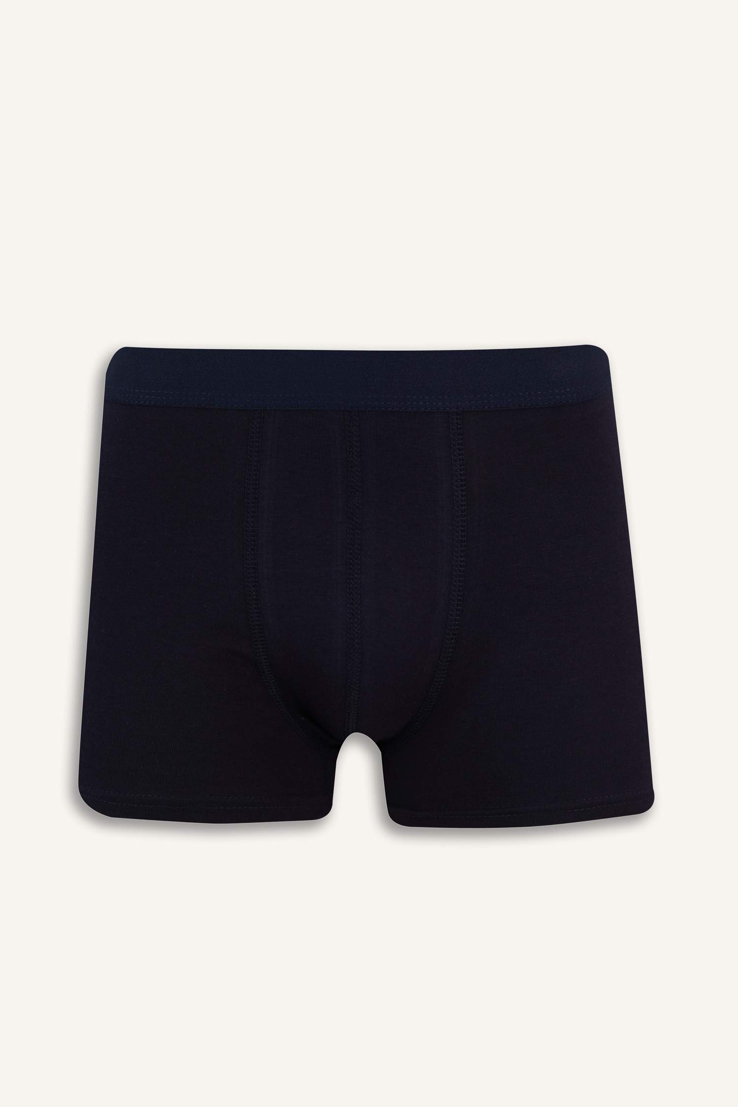 Regular Fit Kaktüs Desenli 3'lü Boxer