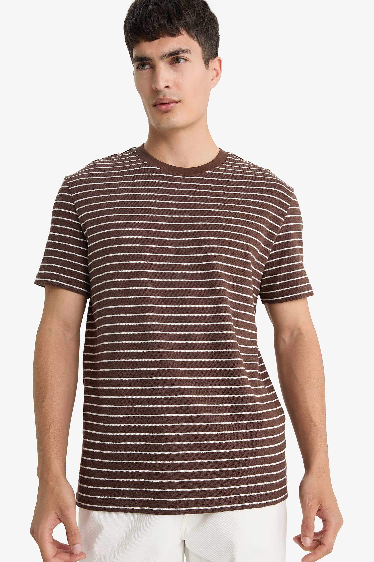 Regular Fit Crew Neck Striped T-Shirt