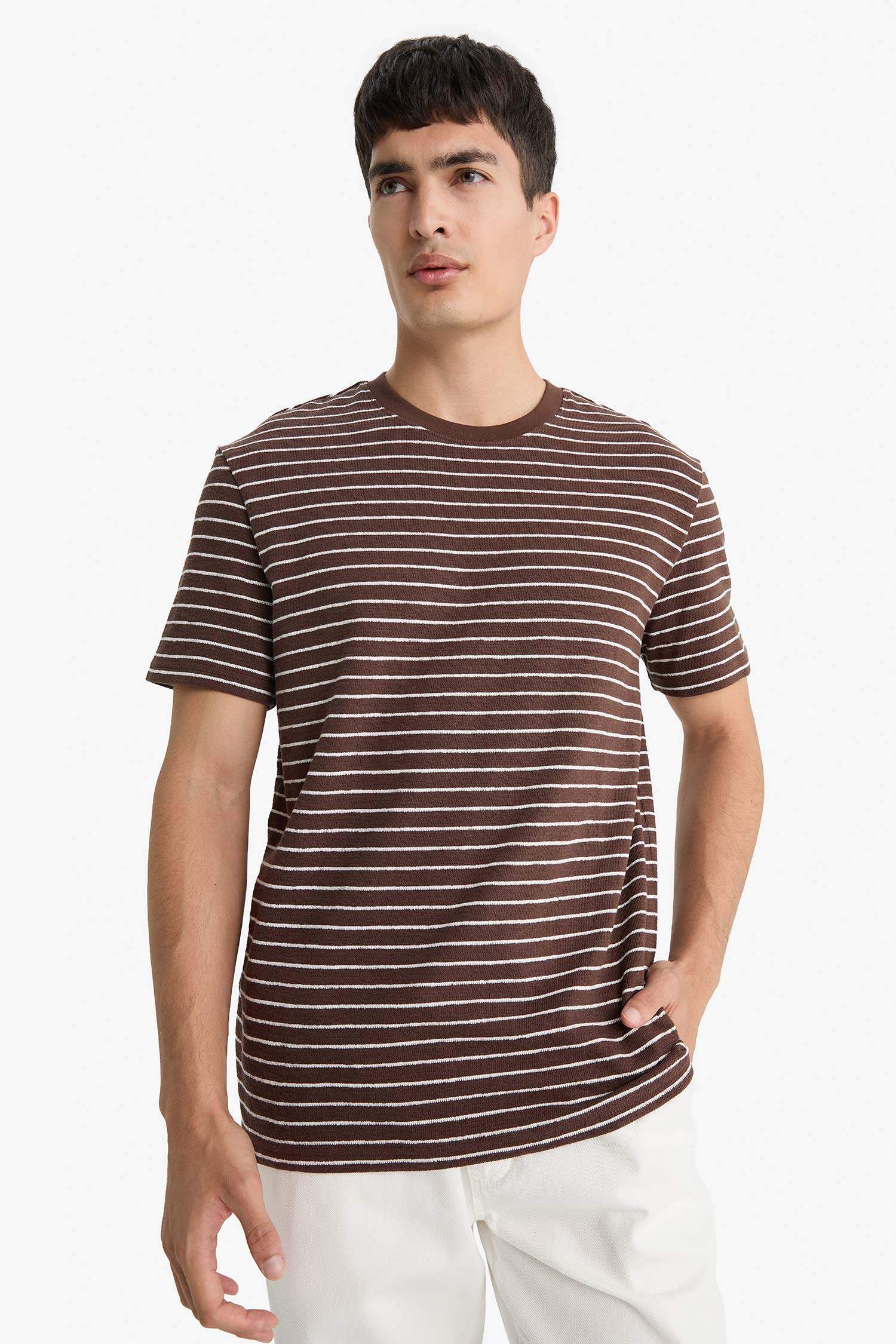 Regular Fit Crew Neck Striped T-Shirt