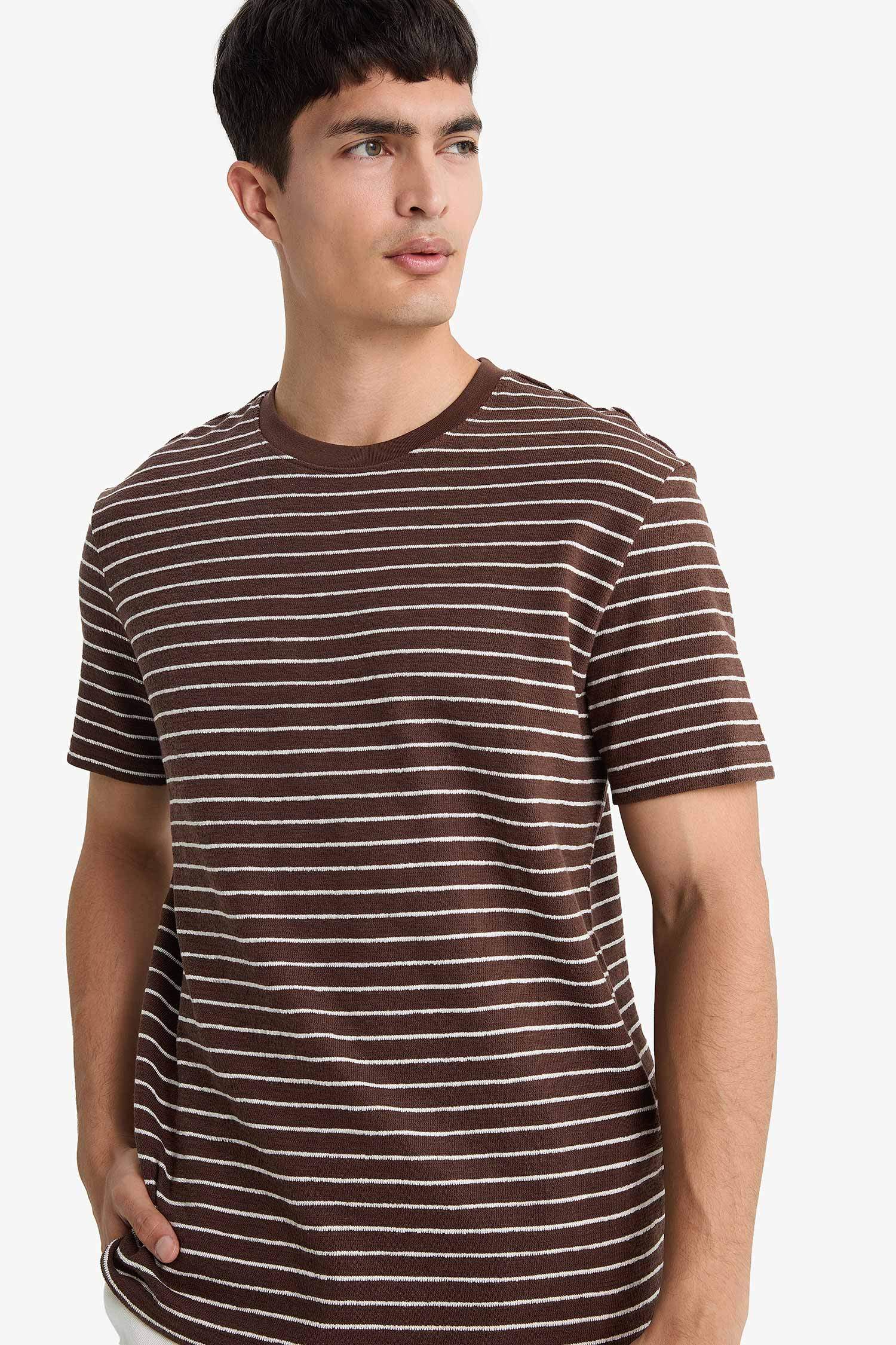 Regular Fit Crew Neck Striped T-Shirt