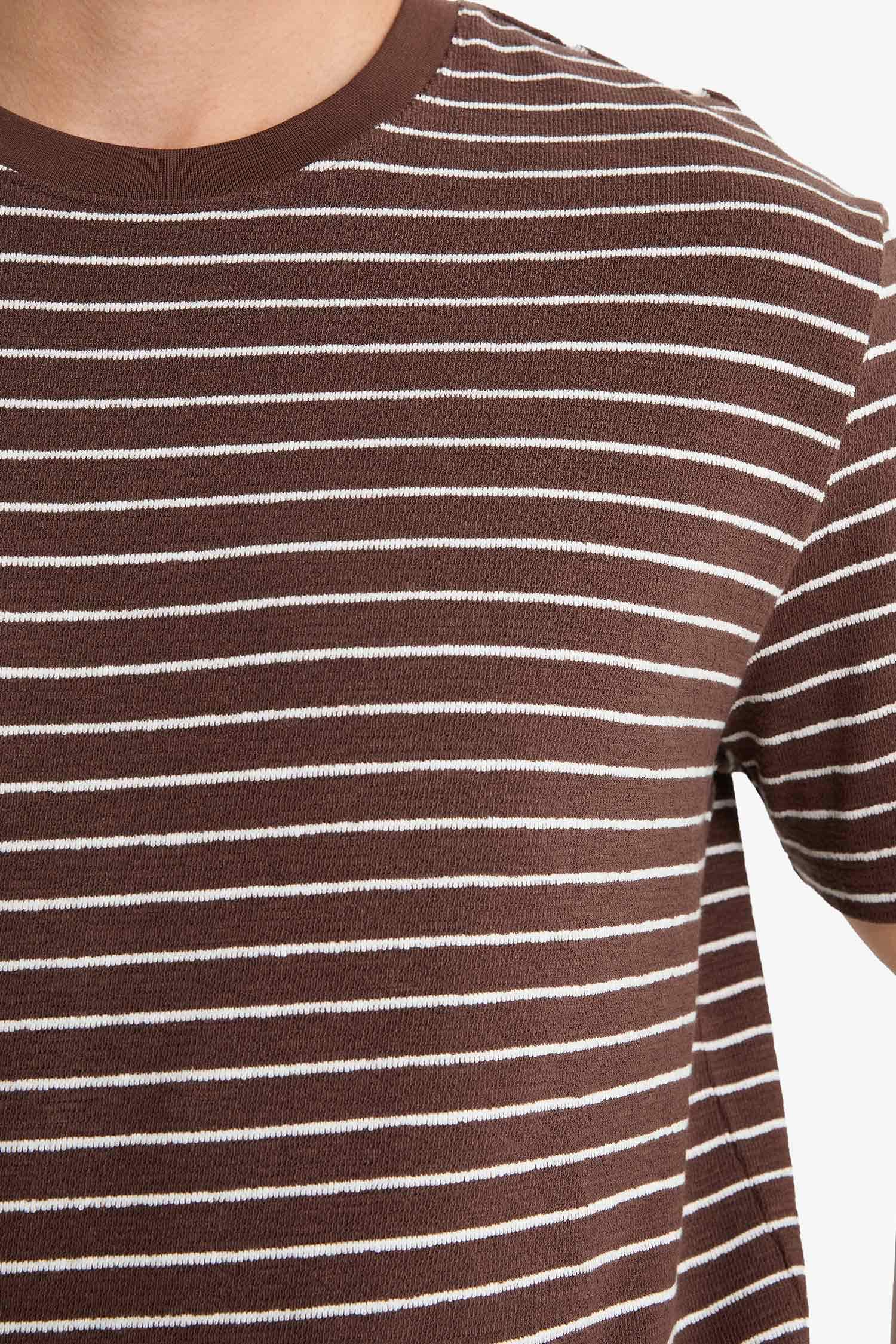 Regular Fit Crew Neck Striped T-Shirt