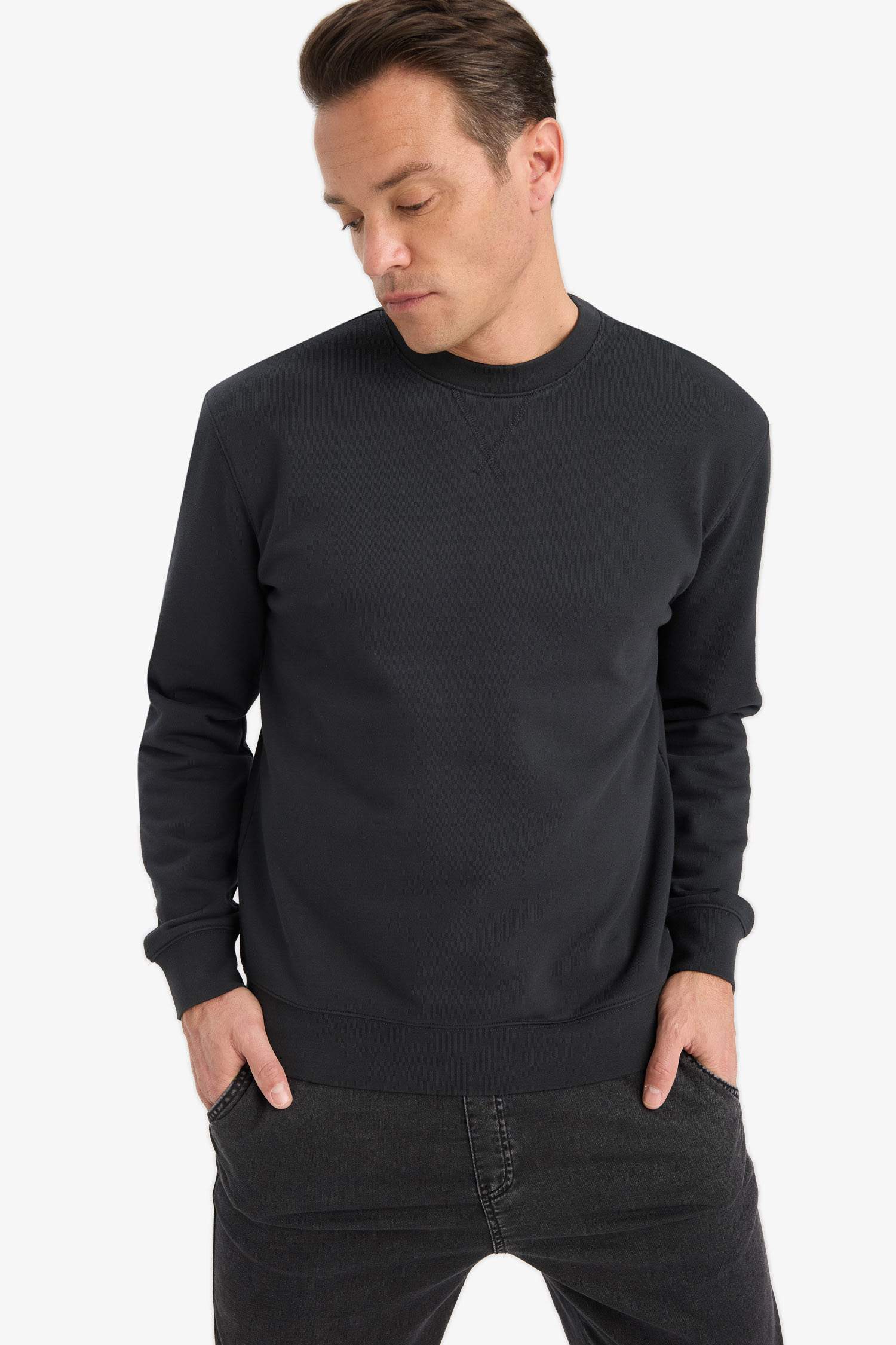 Cotton Regular Fit Crew Neck Sweatshirt