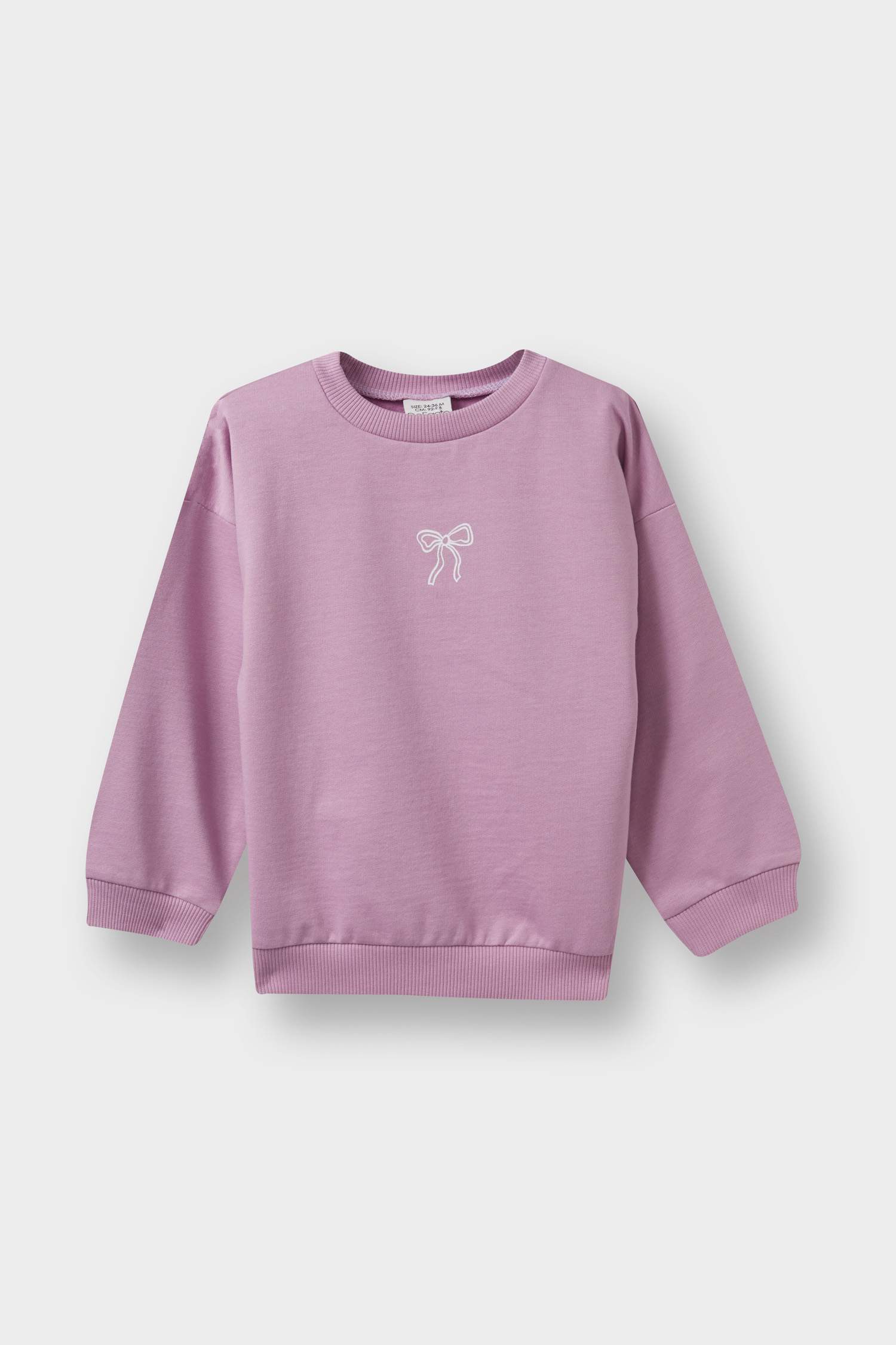 Kız Bebek Bisiklet Yaka İçi Yumuşak Tüylü Baskılı Sweatshirt