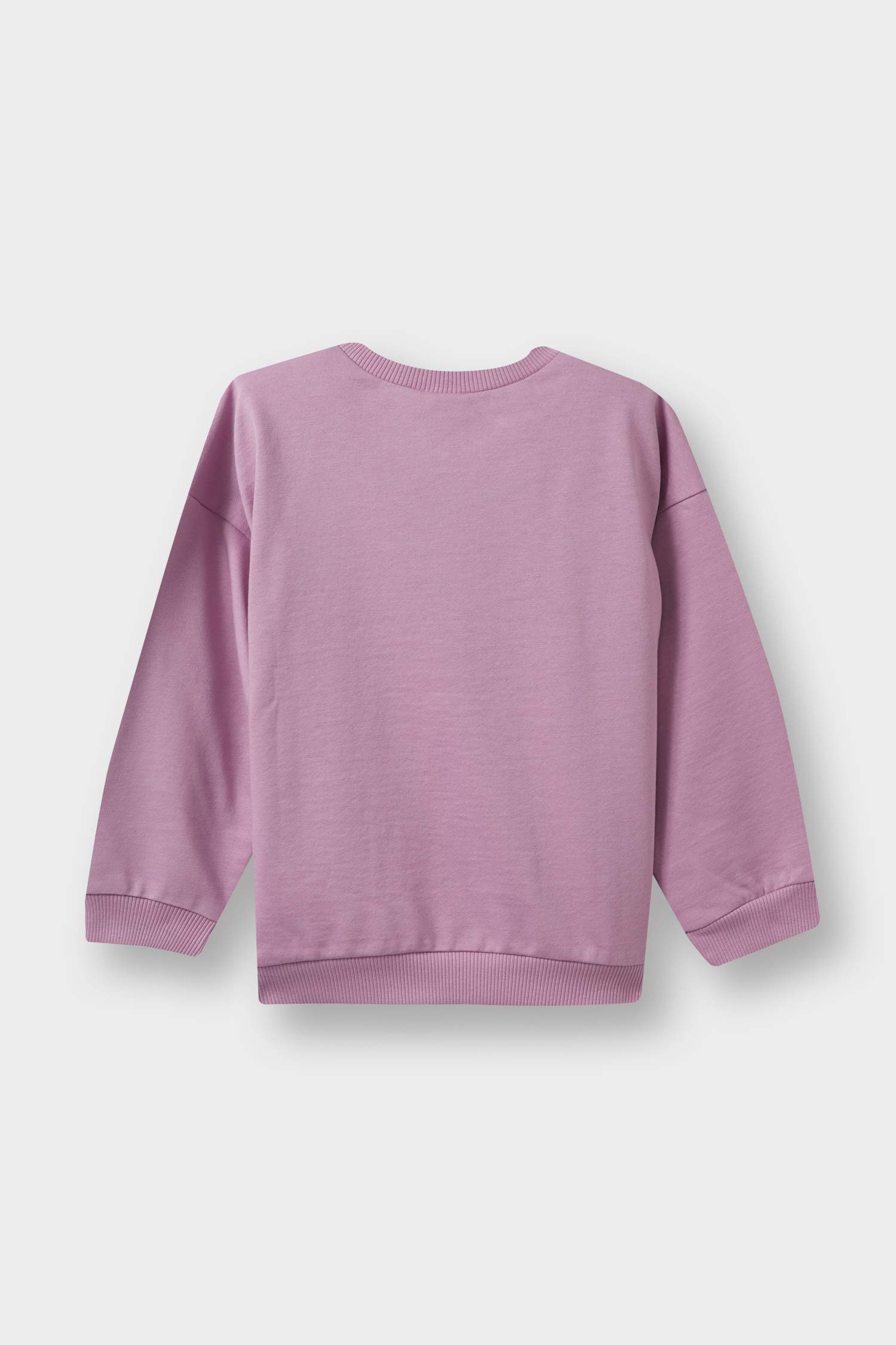 Kız Bebek Bisiklet Yaka İçi Yumuşak Tüylü Baskılı Sweatshirt