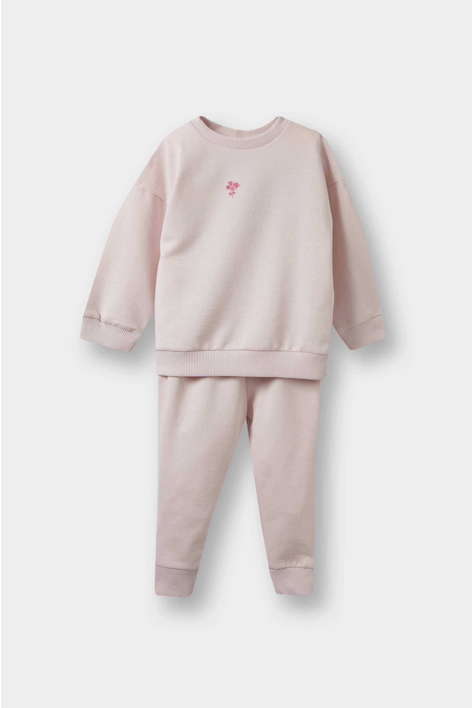 Baby Girl Sweatshirt Fabric 2 Piece Set