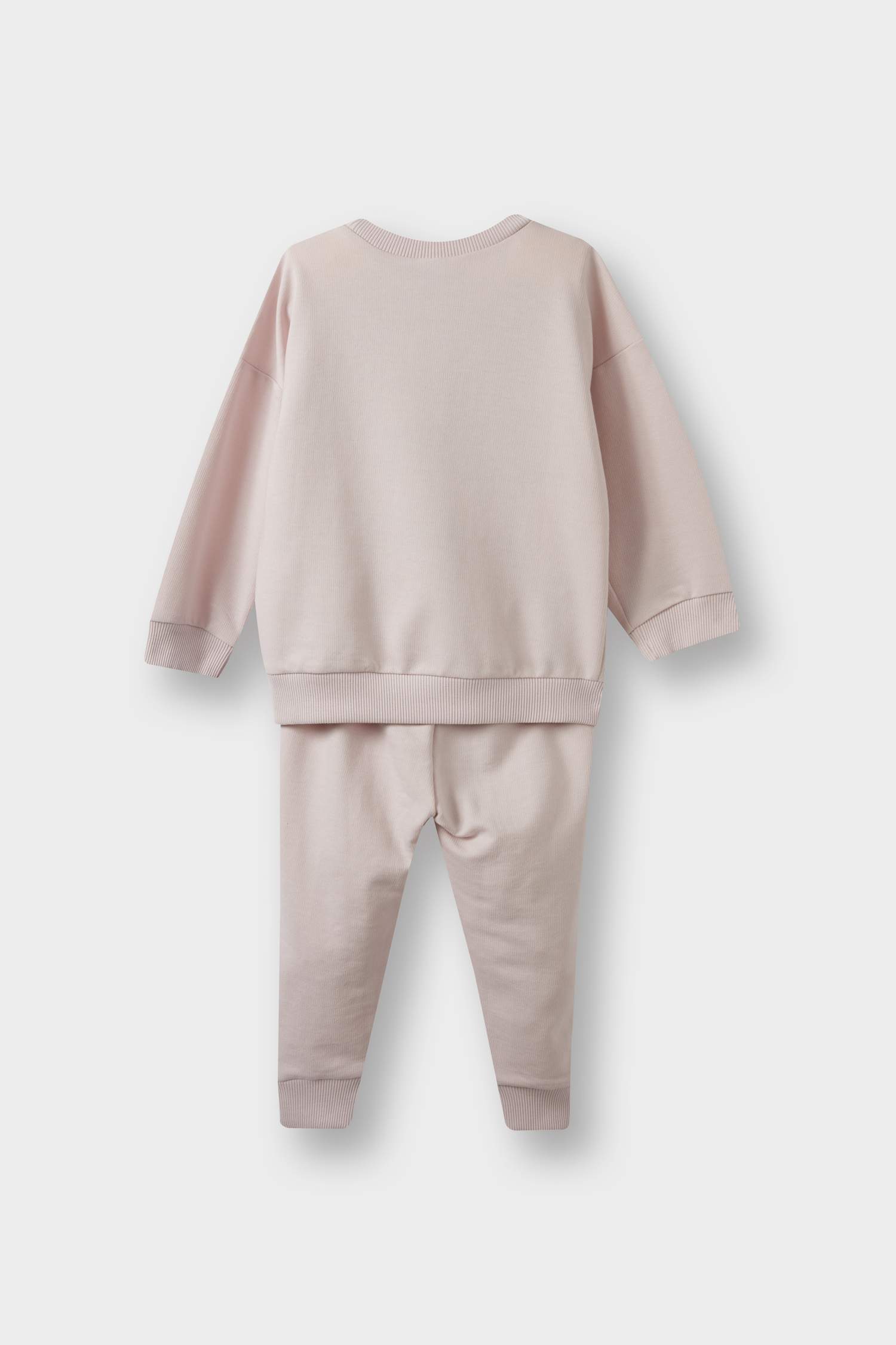 Baby Girl Sweatshirt Fabric 2 Piece Set