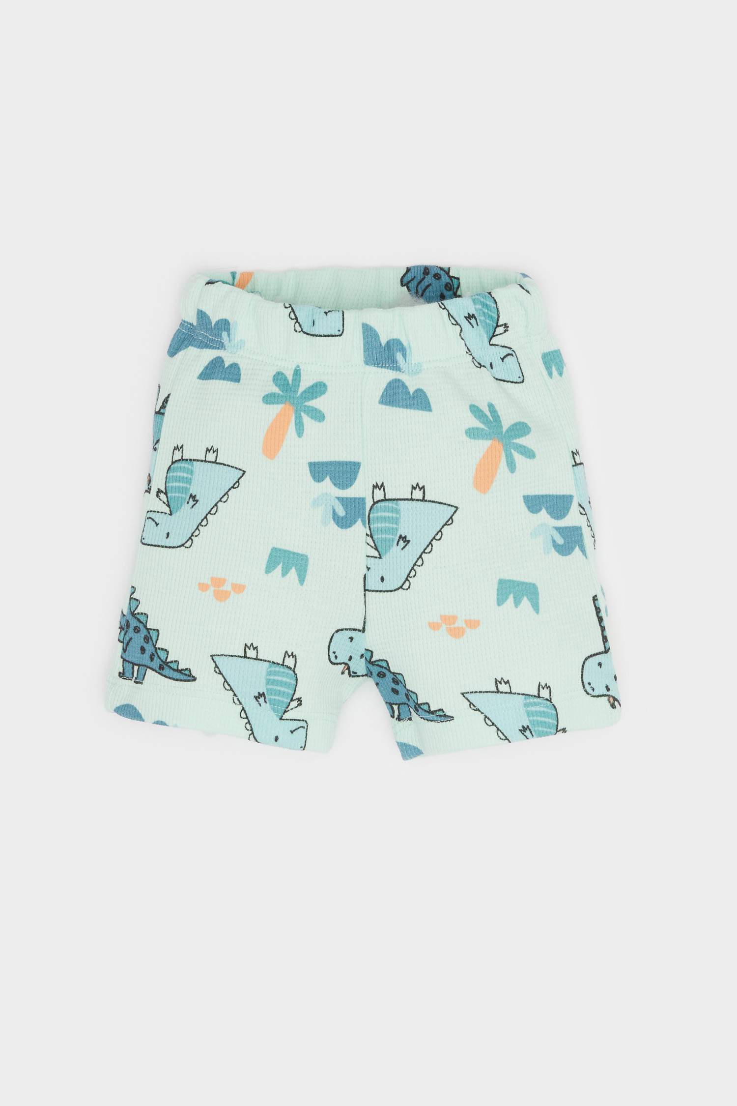 Baby Boy Dinosaur Printed Waffle 2 Piece Set
