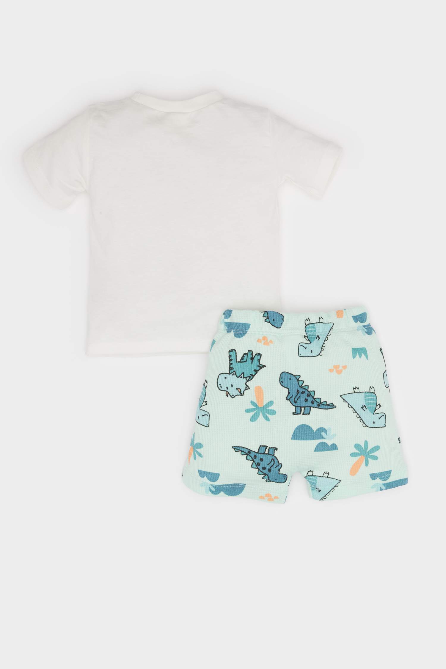 Baby Boy Dinosaur Printed Waffle 2 Piece Set