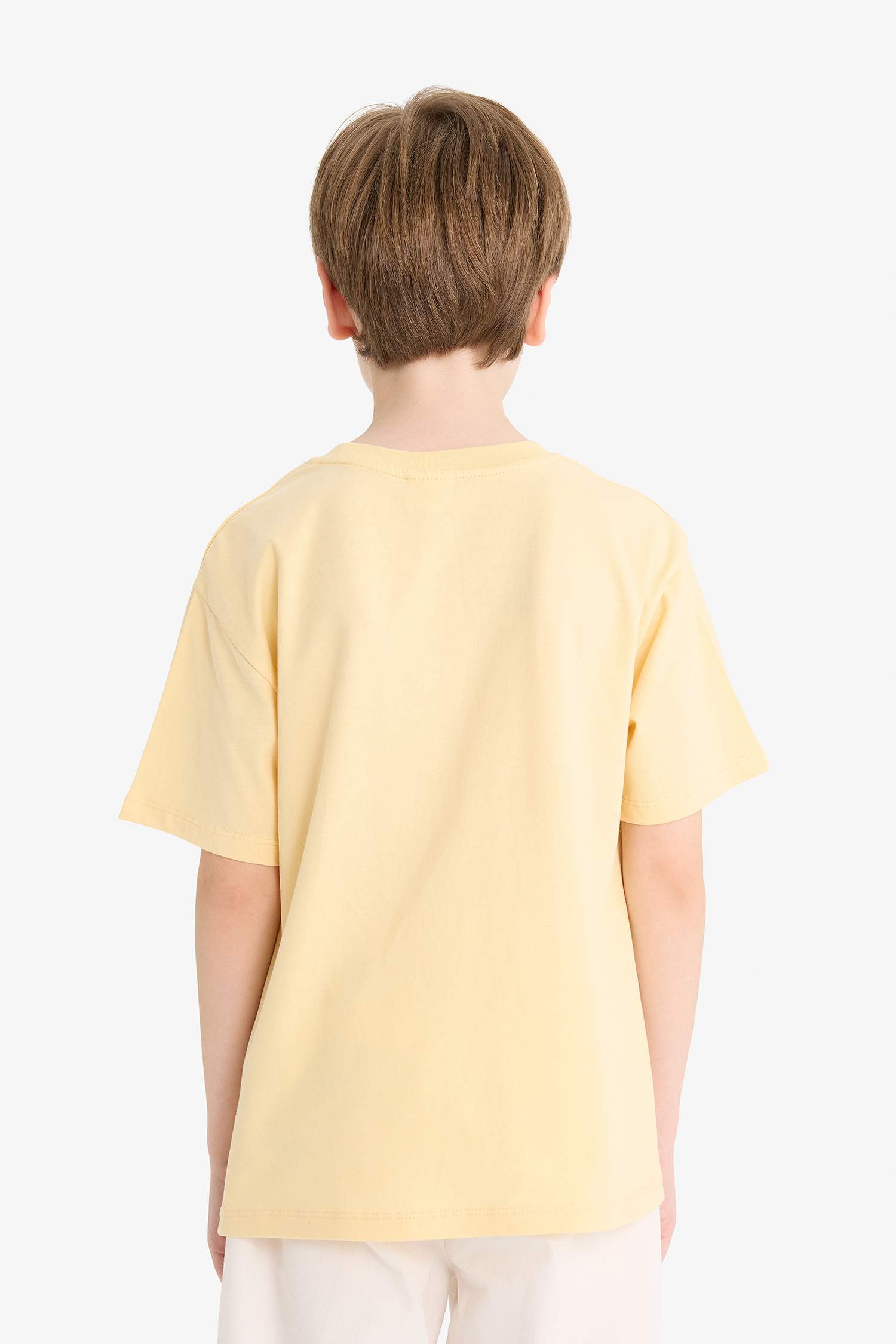 Boy Regular Fit Crew Neck Embroidered T-Shirt