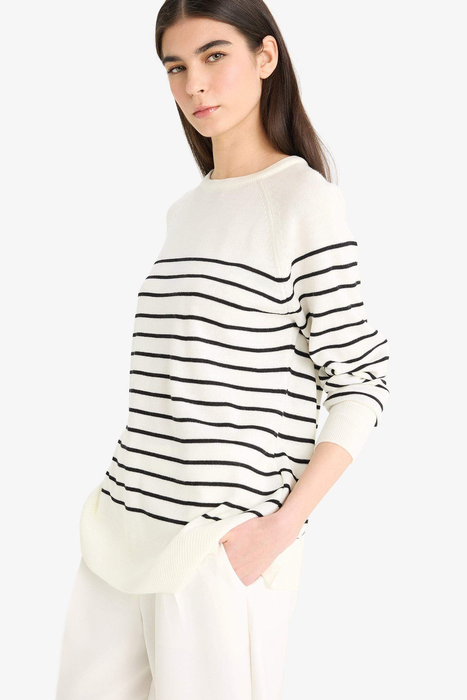 Regular Fit Crew Neck Striped Knit Pullover