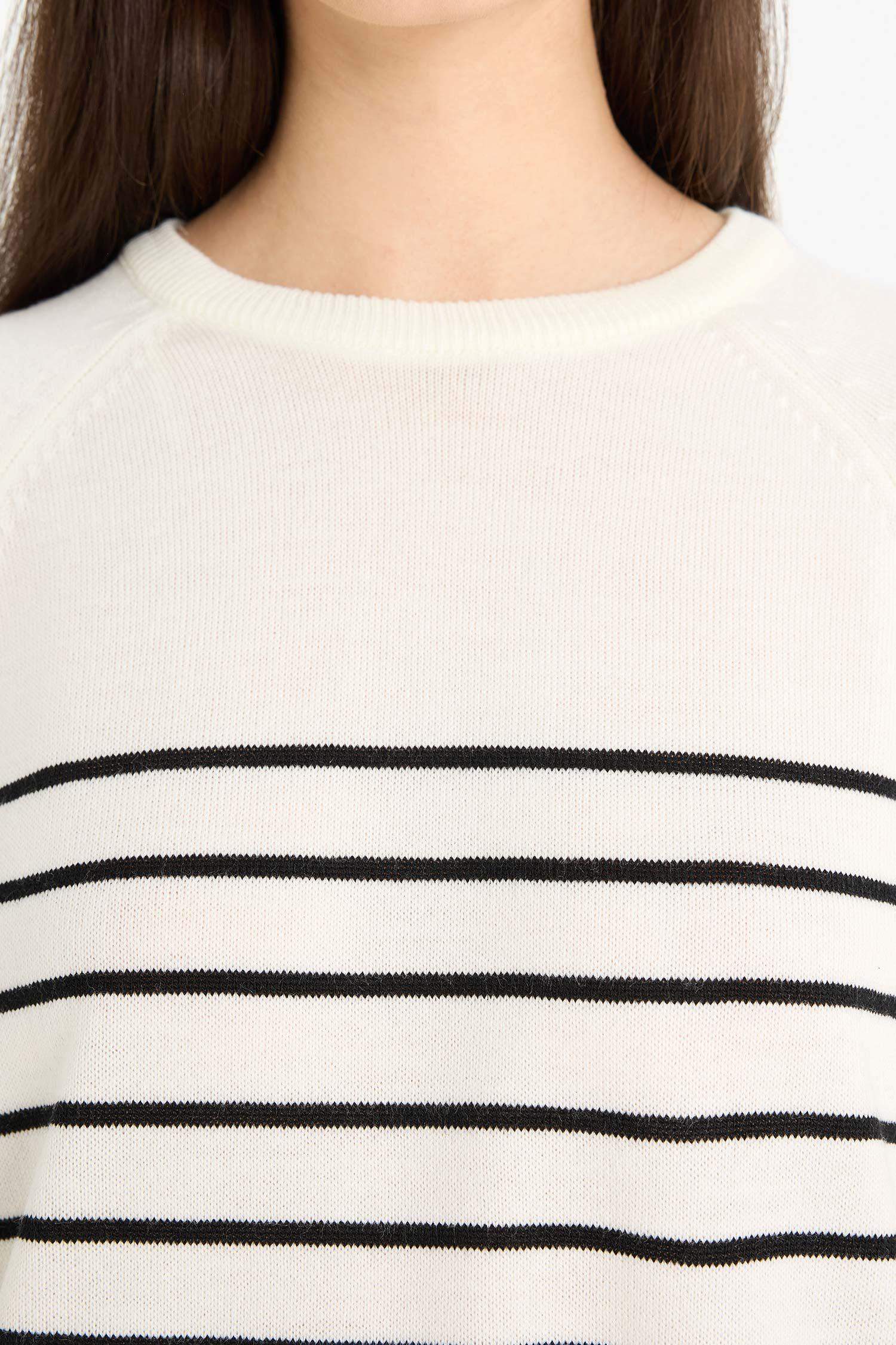 Regular Fit Crew Neck Striped Knit Pullover