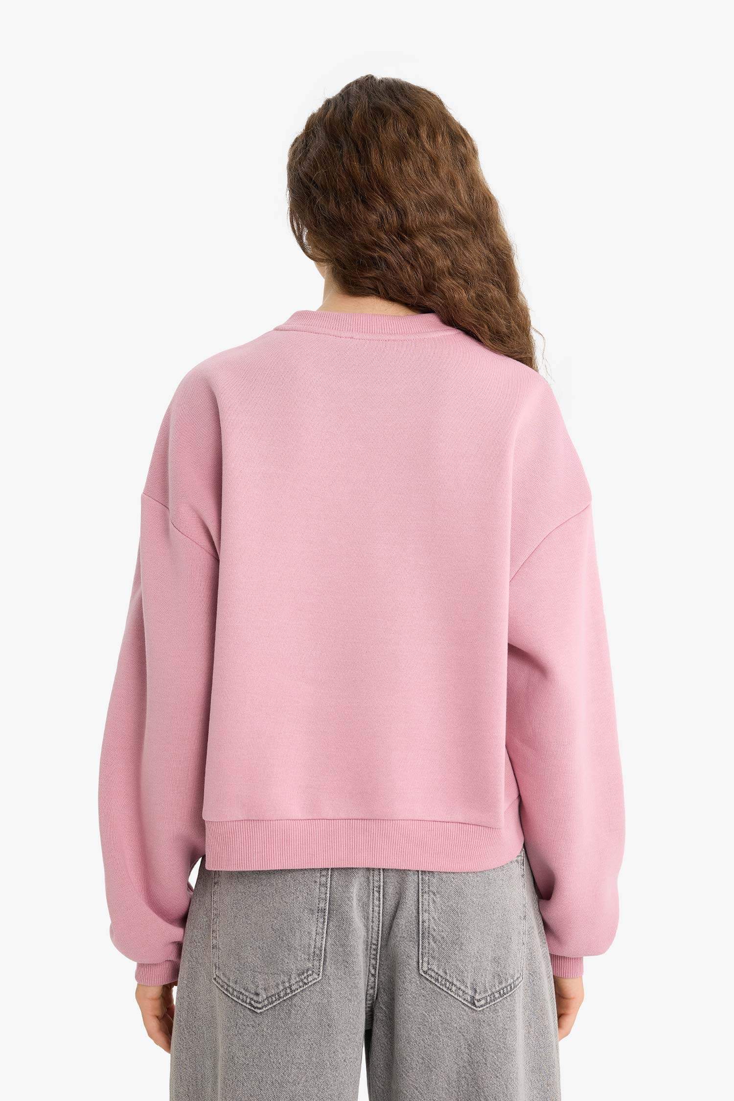 Regular Fit Printed Long Sleeve Sweatshirt