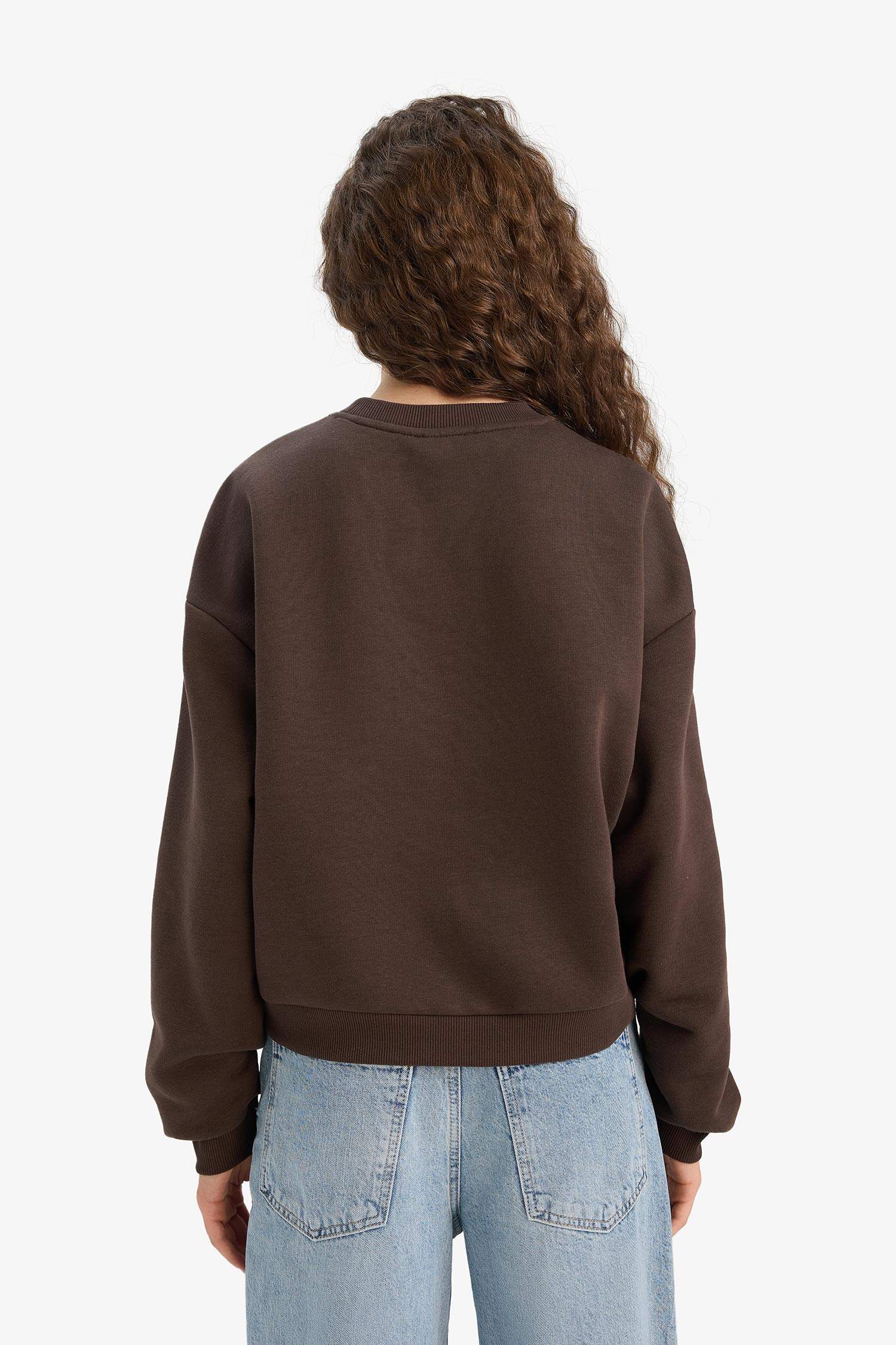 سويت شيرت تقيل قصة عادية بياخة مستديرة