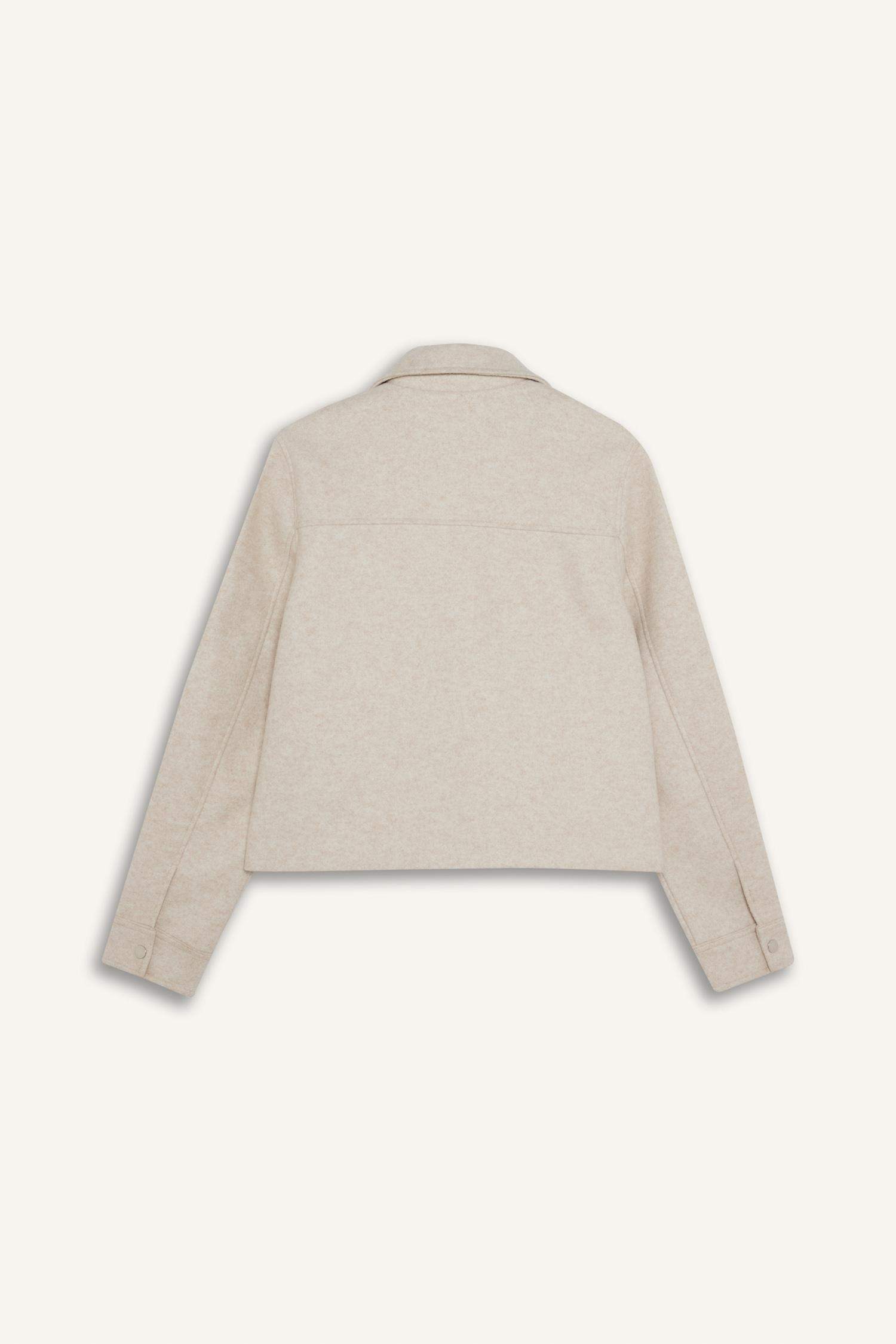 كاشمير قصة عادية بياقة بولو