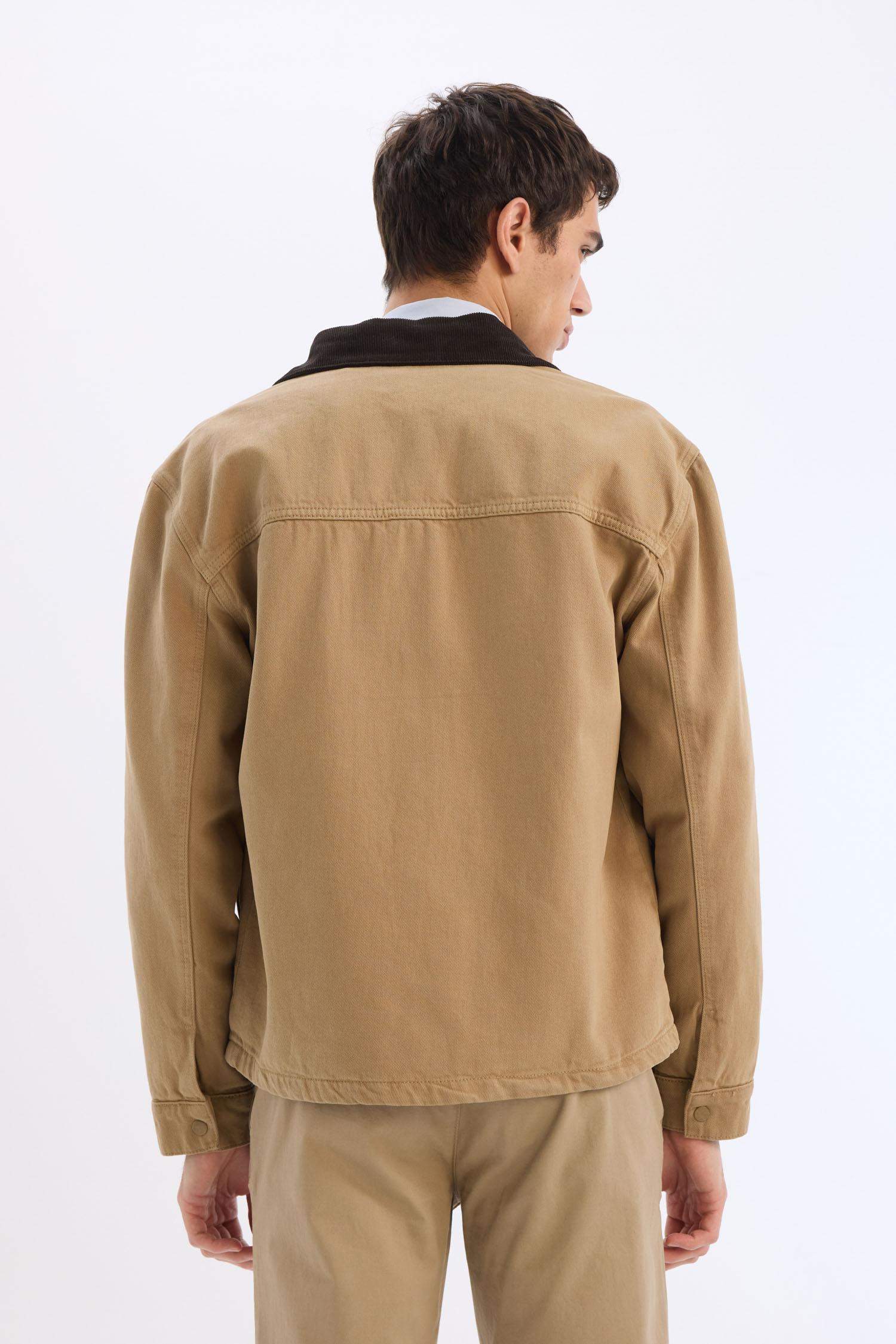 Regular Fit Kontrast Yakalı Pamuk Astarlı Fermuarlı Pamuklu Ceket Mont