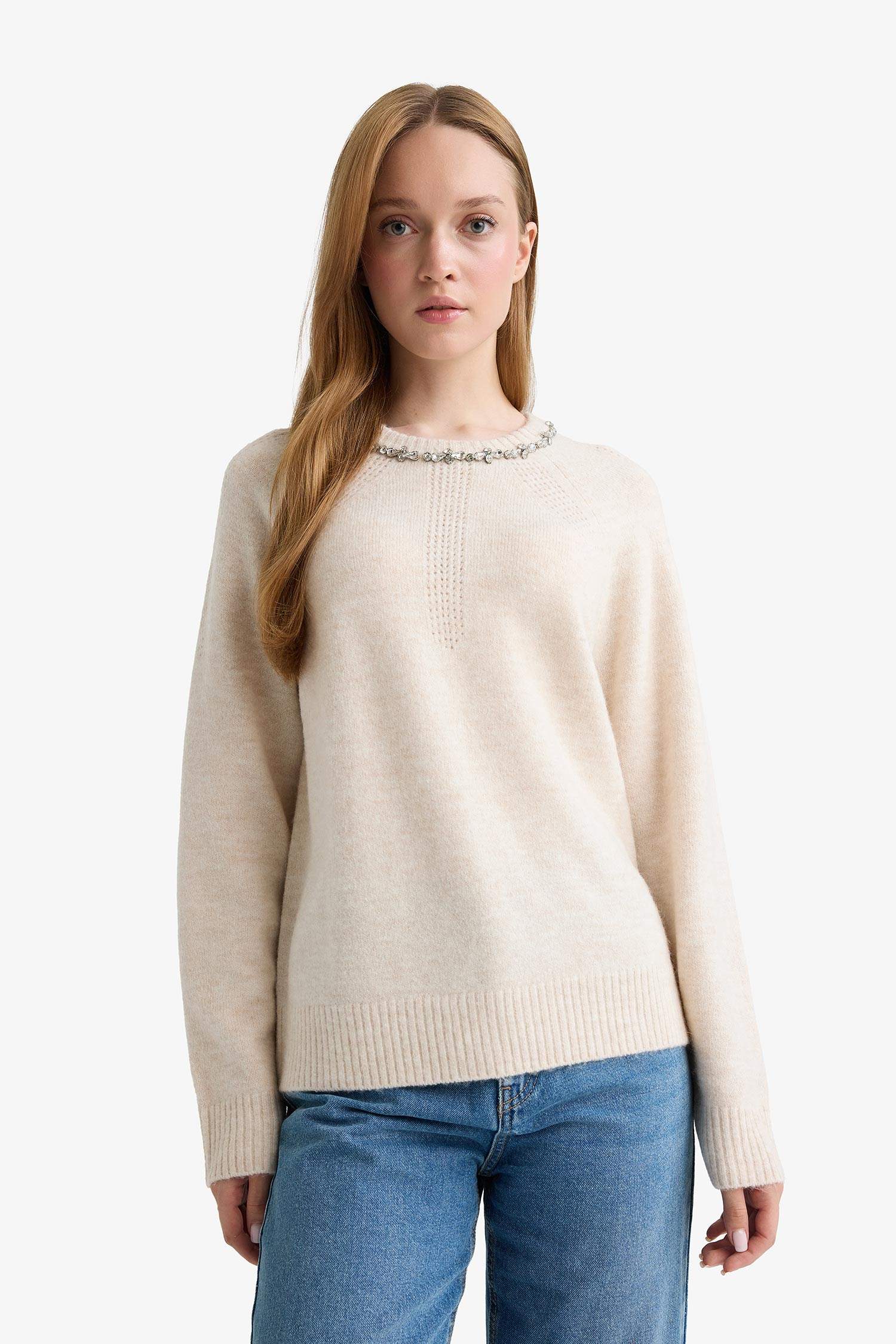 Regular Fit Crew Neck Knitwear Pullover