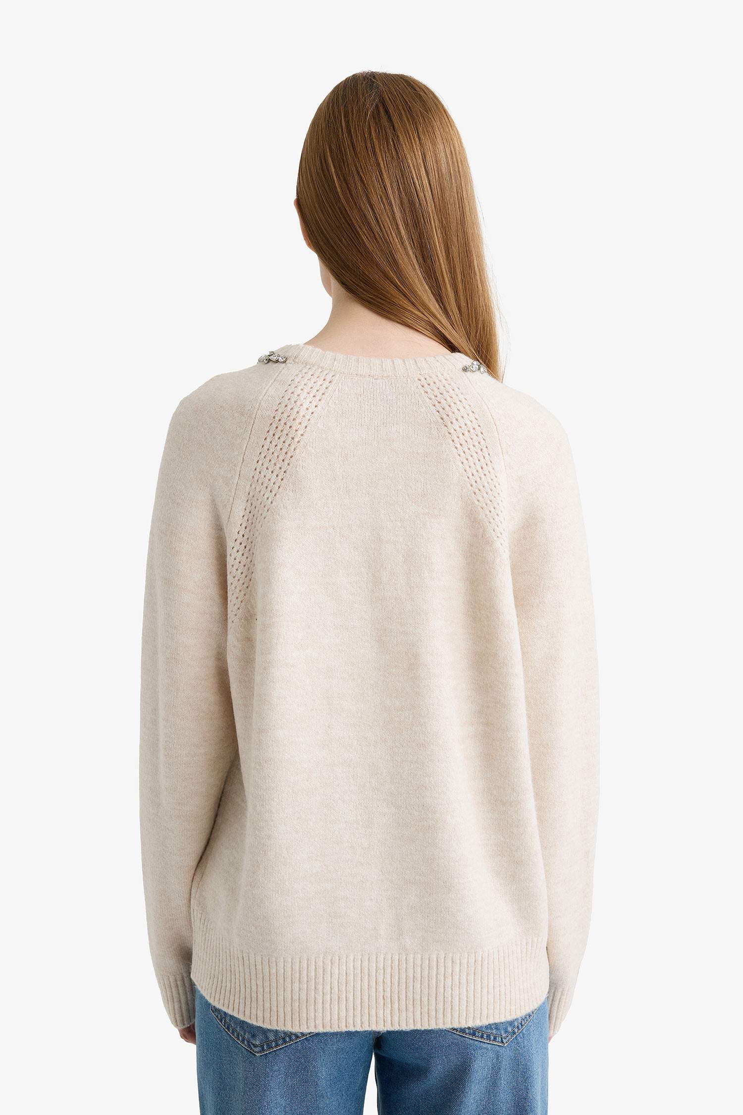 Regular Fit Crew Neck Knitwear Pullover