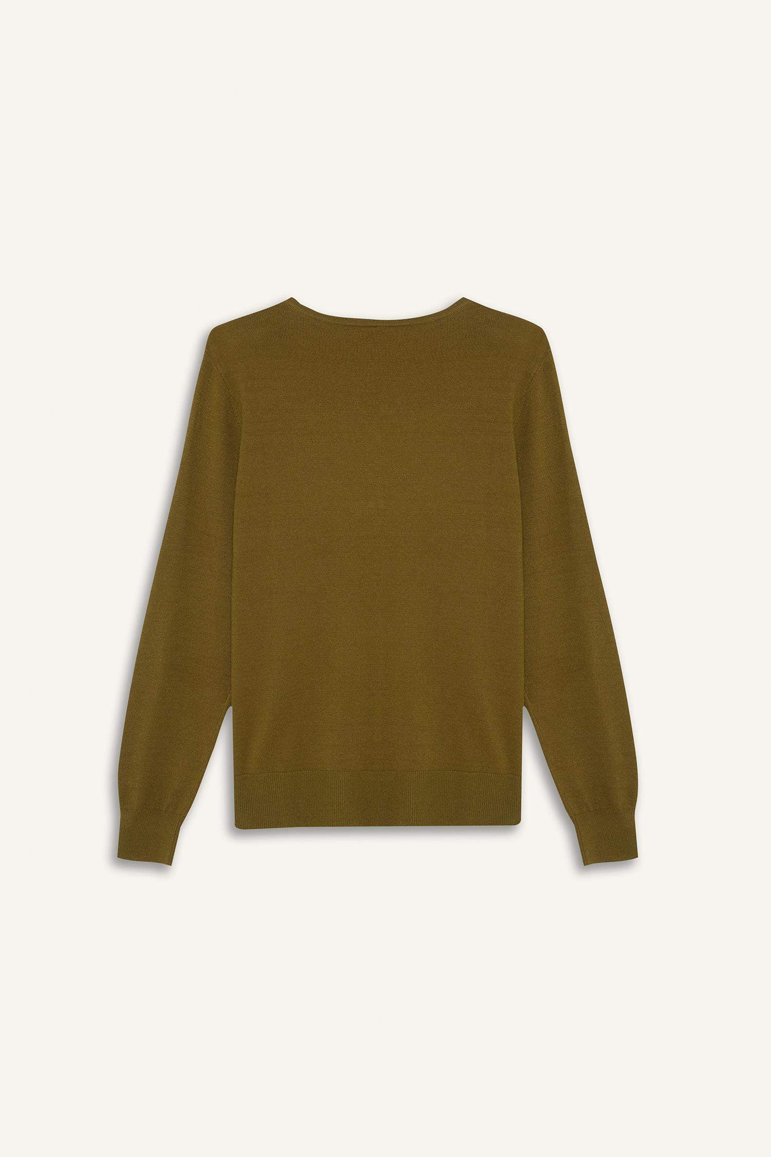 Regular Fit V-Neck Pullover