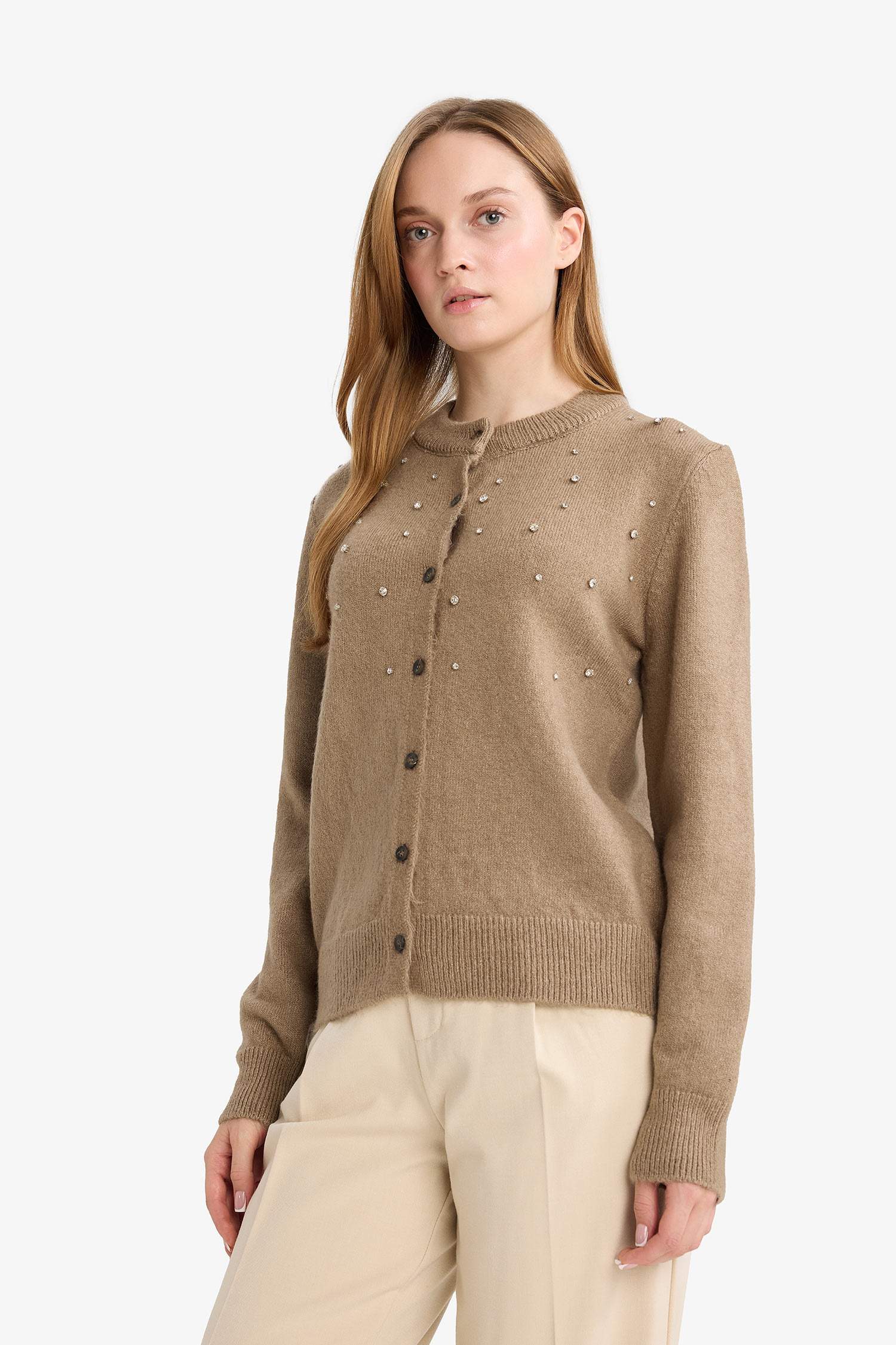 Regular Fit Crew Neck Knitwear Cardigan