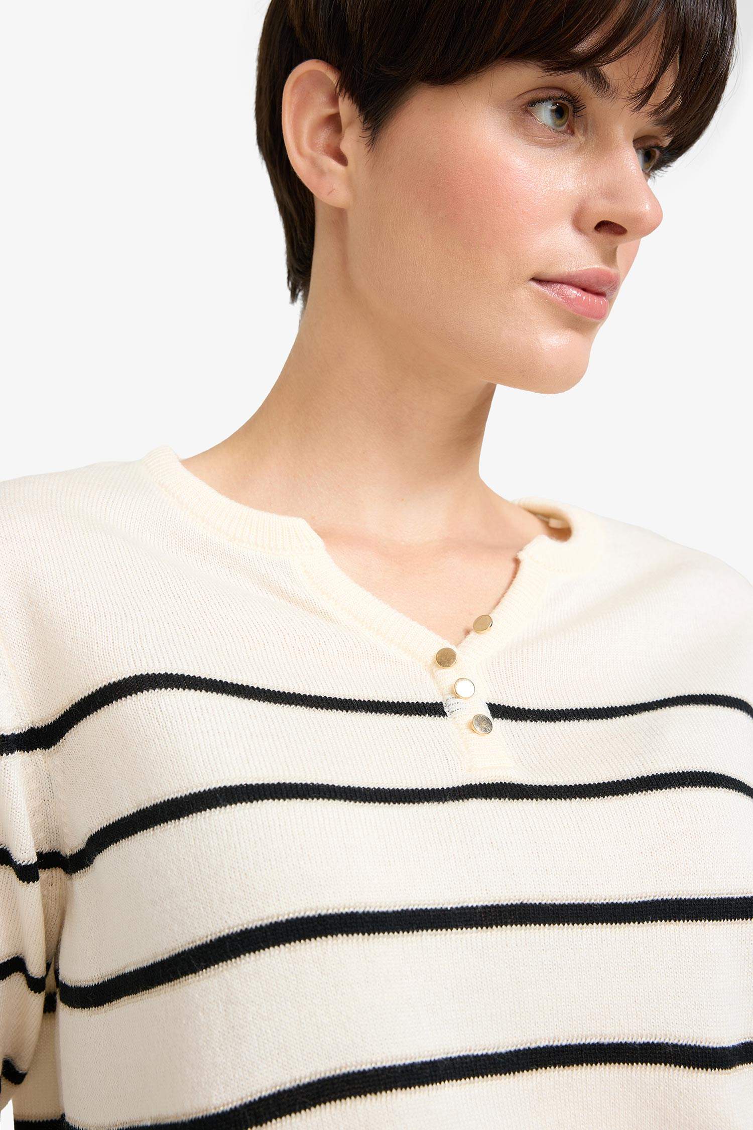 Regular Fit V-Neck Pullover