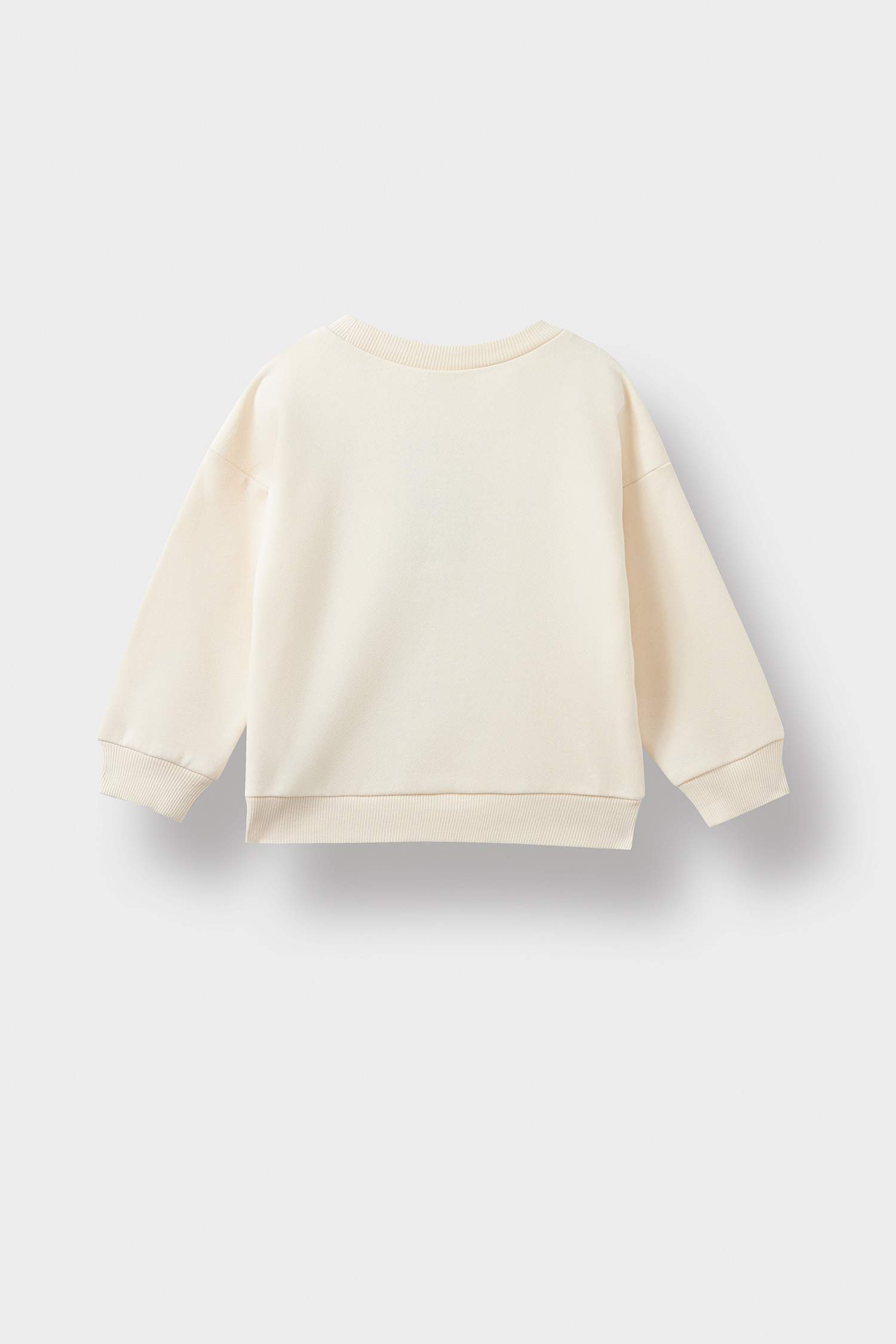 Erkek Bebek Bisiklet Yaka Dinozor Baskılı İçi Yumuşak Tüylü Sweatshirt