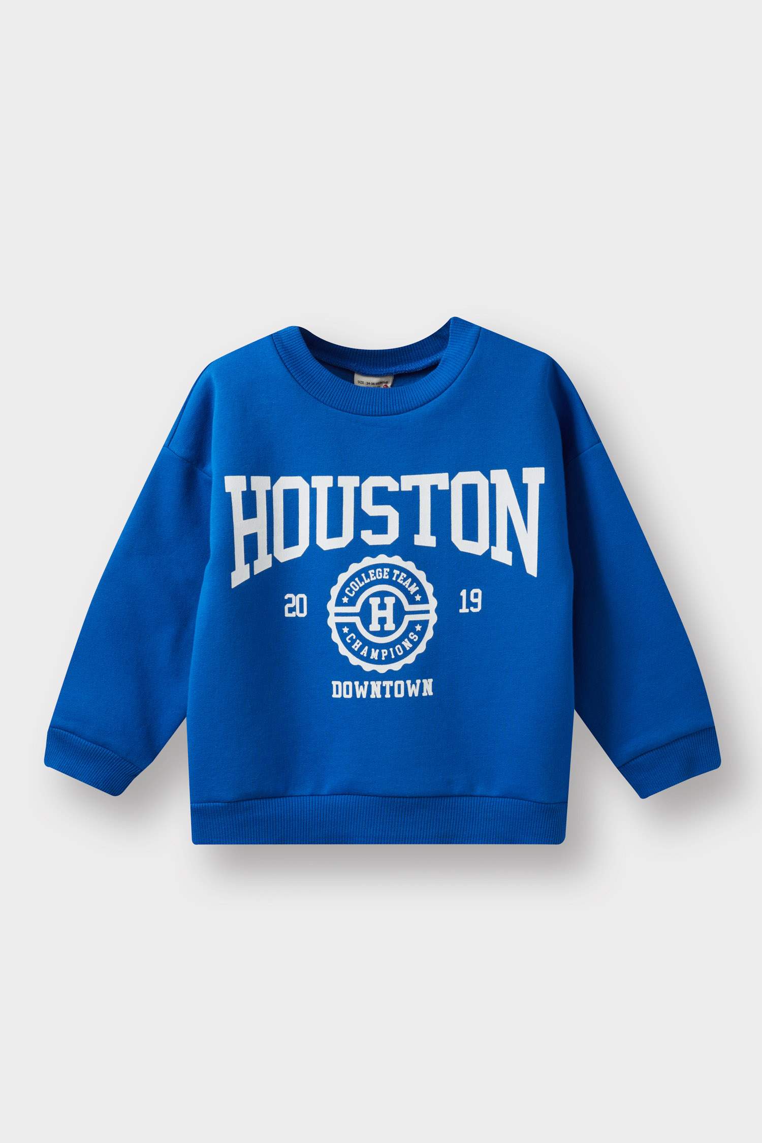 Boy Crew Neck Printed Soft Lining Sweatshirt