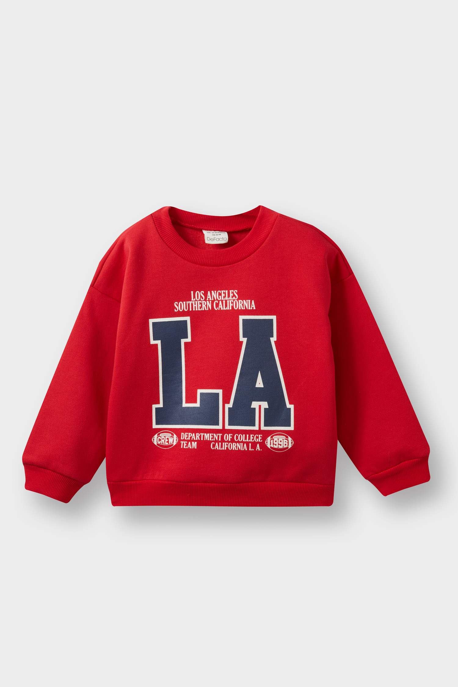 Baby Boy Regular Fit Printed Crew Neck Sweatshirt