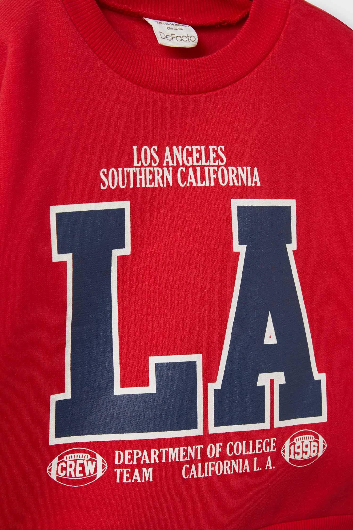 Baby Boy Regular Fit Printed Crew Neck Sweatshirt