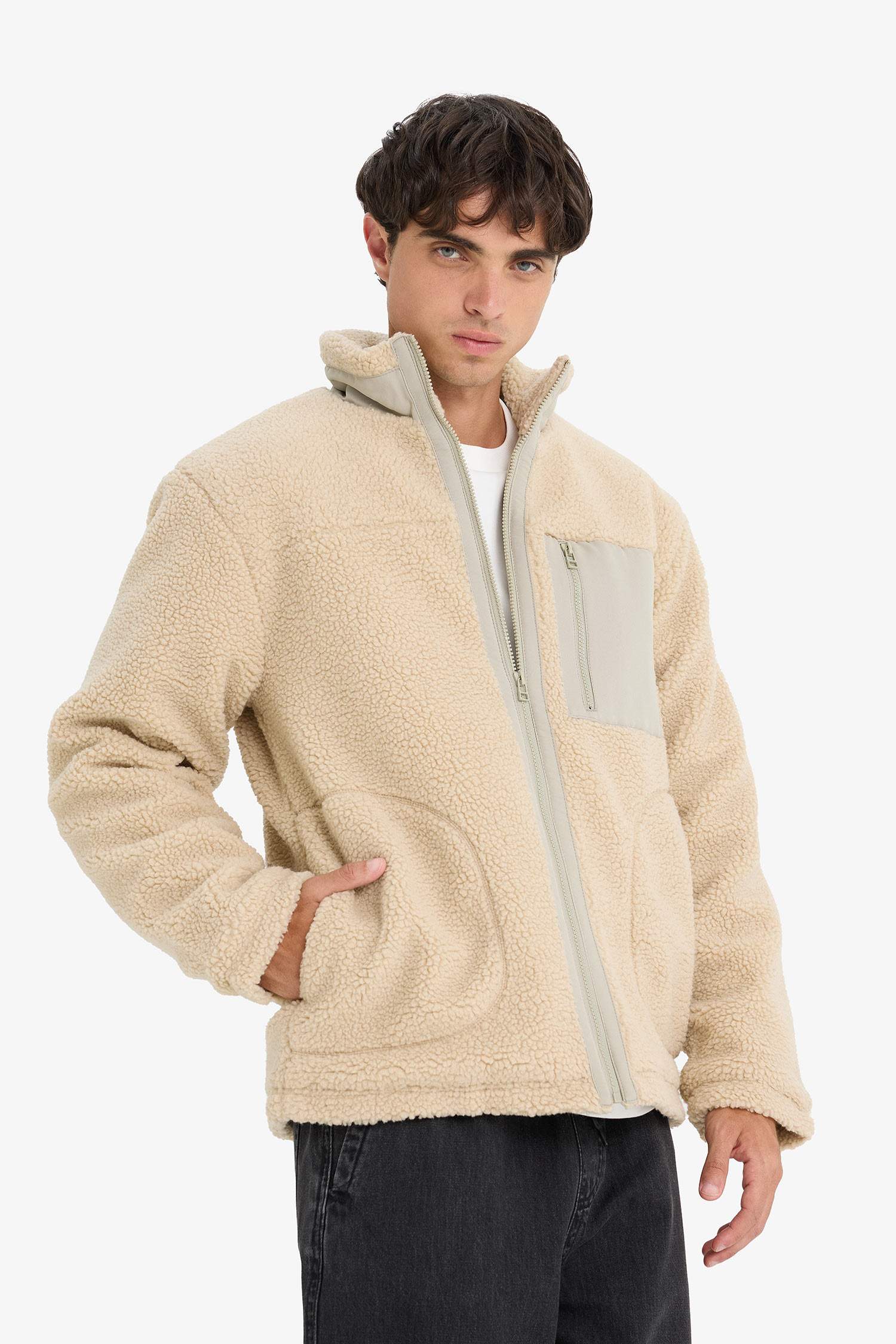 Regular Fit Stand Collar Zippered Plush Jacket